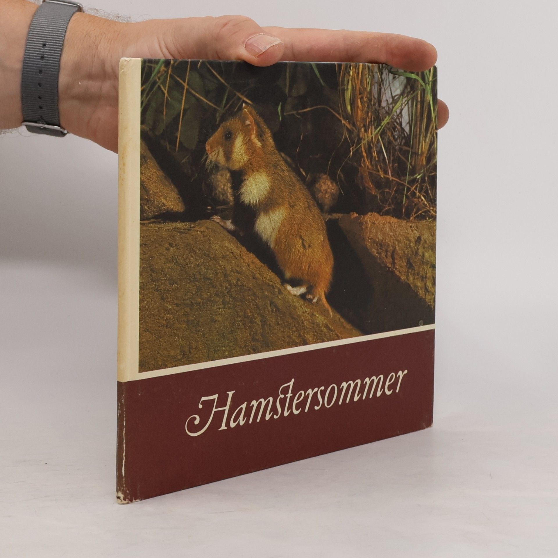 Helmut Massny Hamstersommer