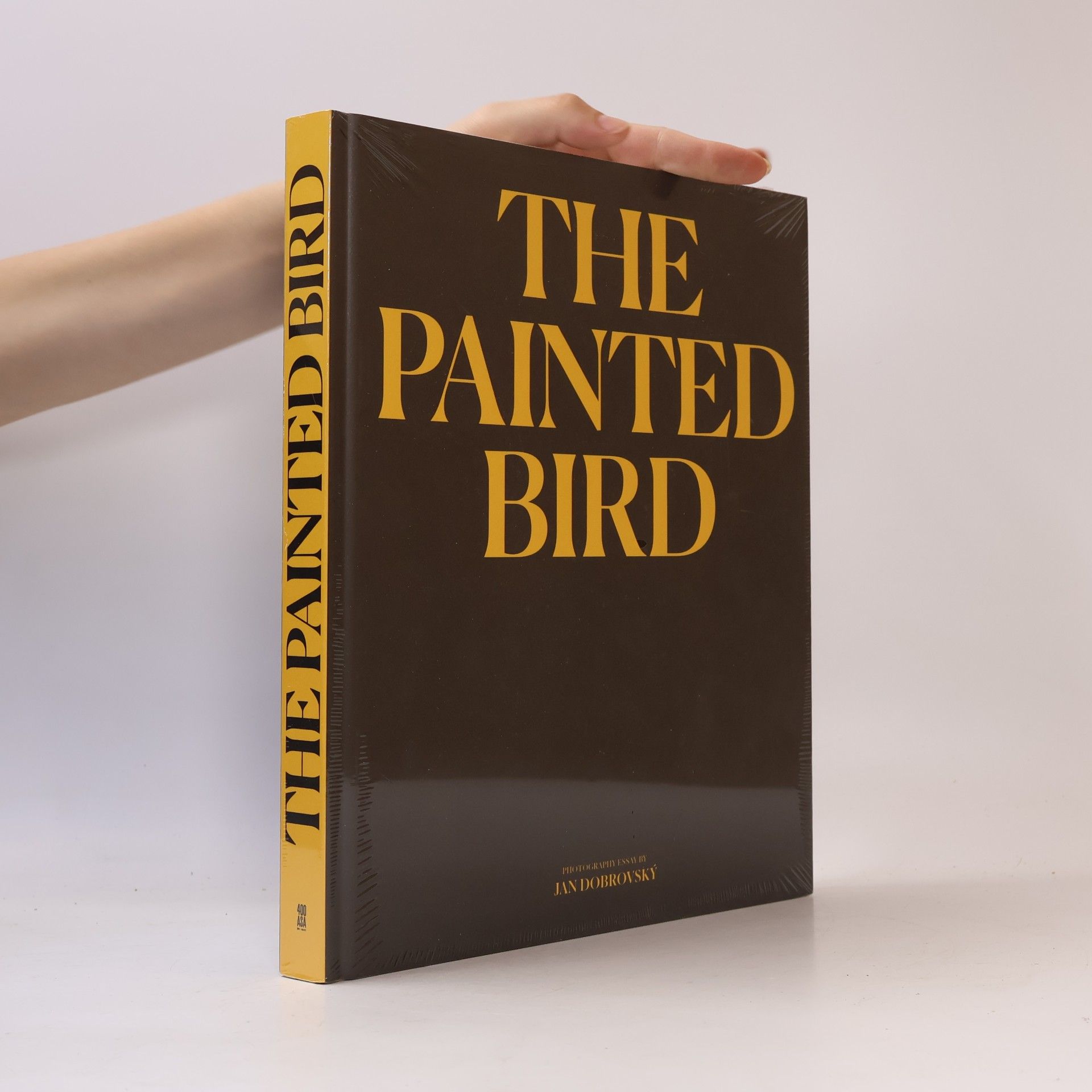 The Painted Bird