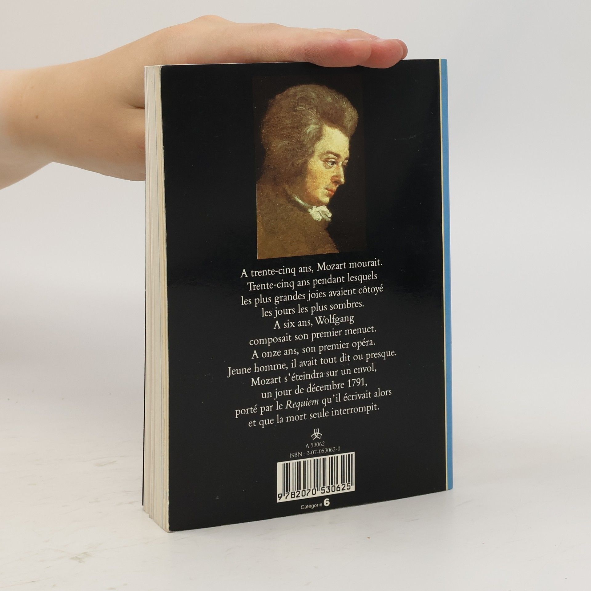 Michel Parouty Mozart aimé des dieux