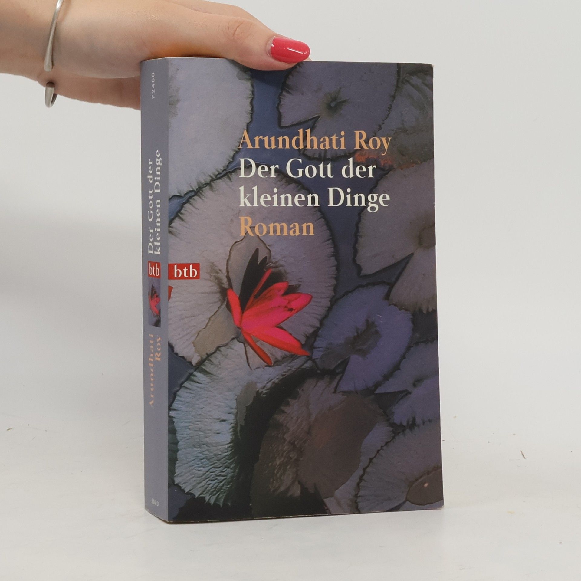 Arundhati Roy Der Gott der kleinen Dinge
