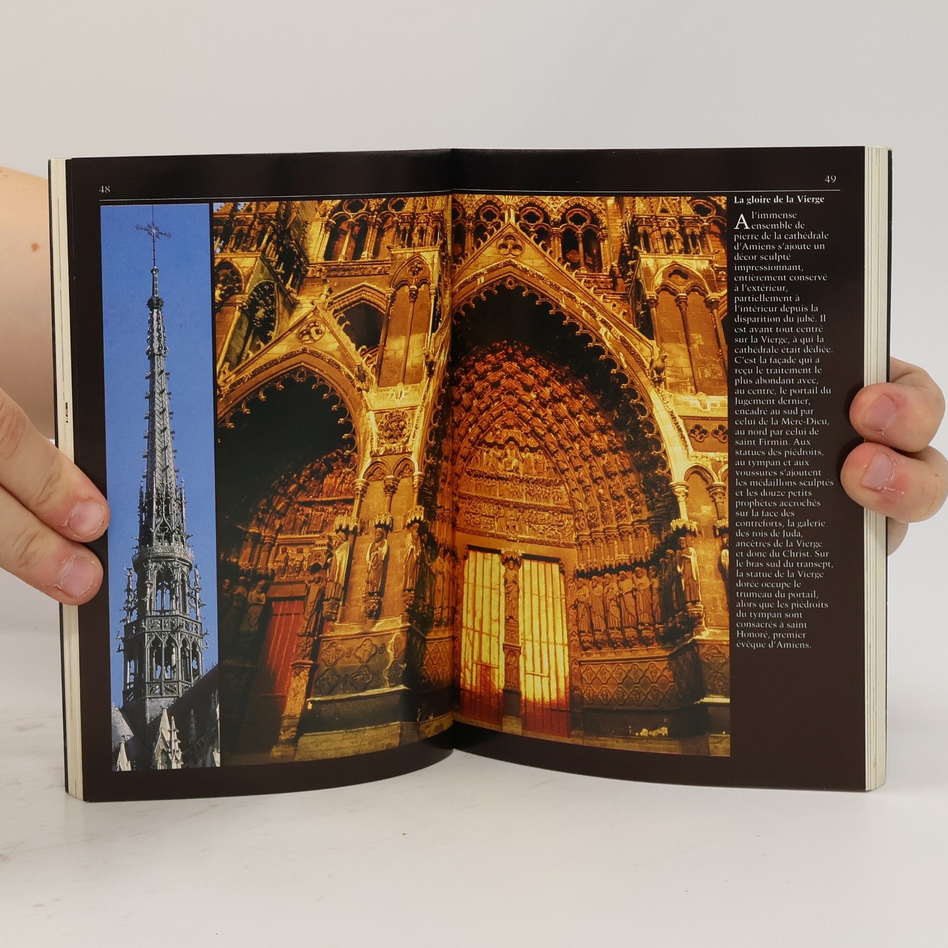 Alain Erlande-Brandenburg Quand les cathédrales étaient peintes