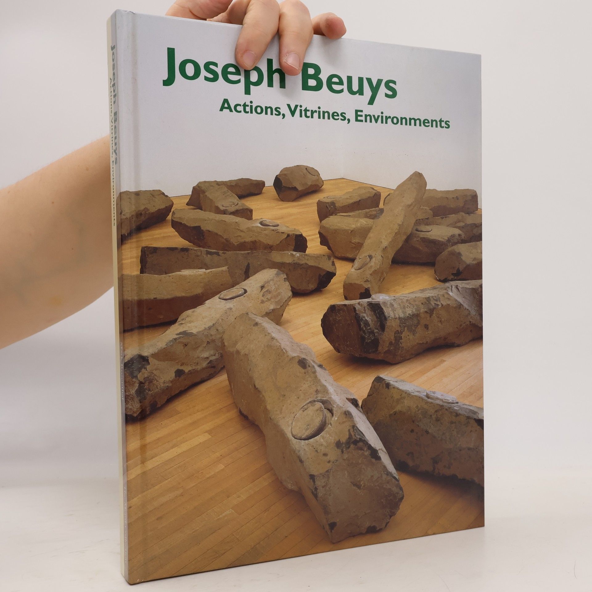 Claudia Schmuckli Joseph Beuys