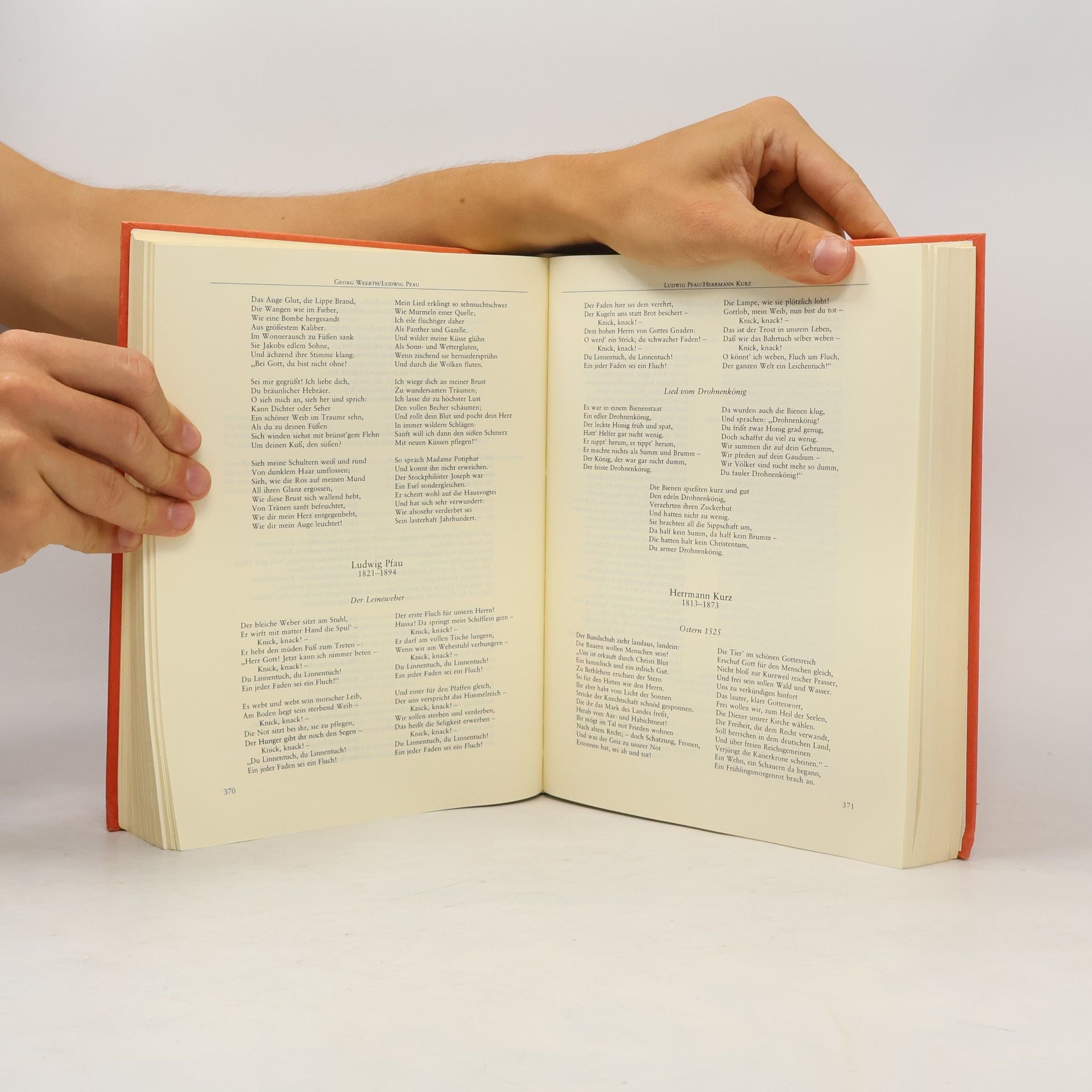 Beate Pinkerneil Das Grosse deutsche Balladenbuch