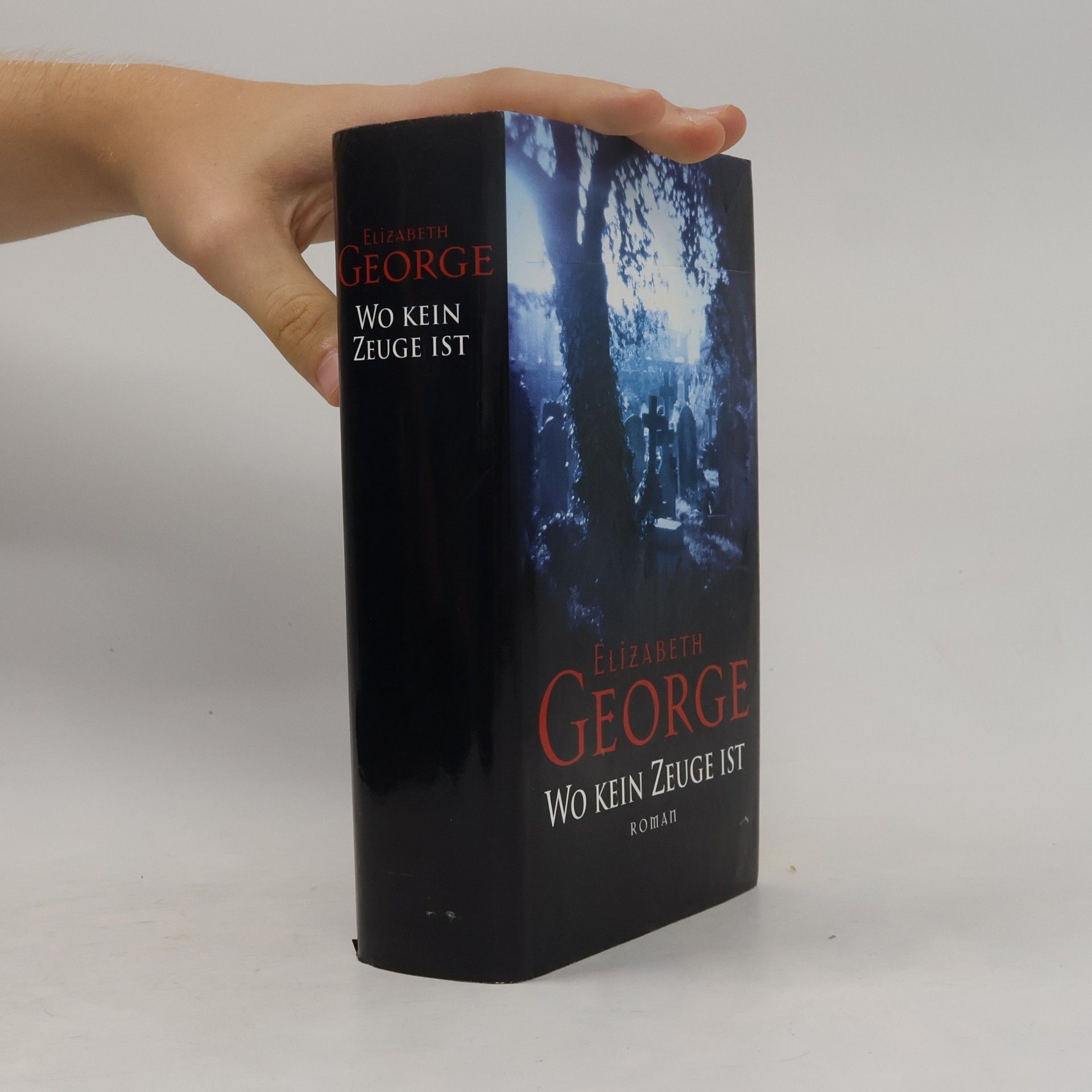 Elizabeth George Wo kein Zeuge ist