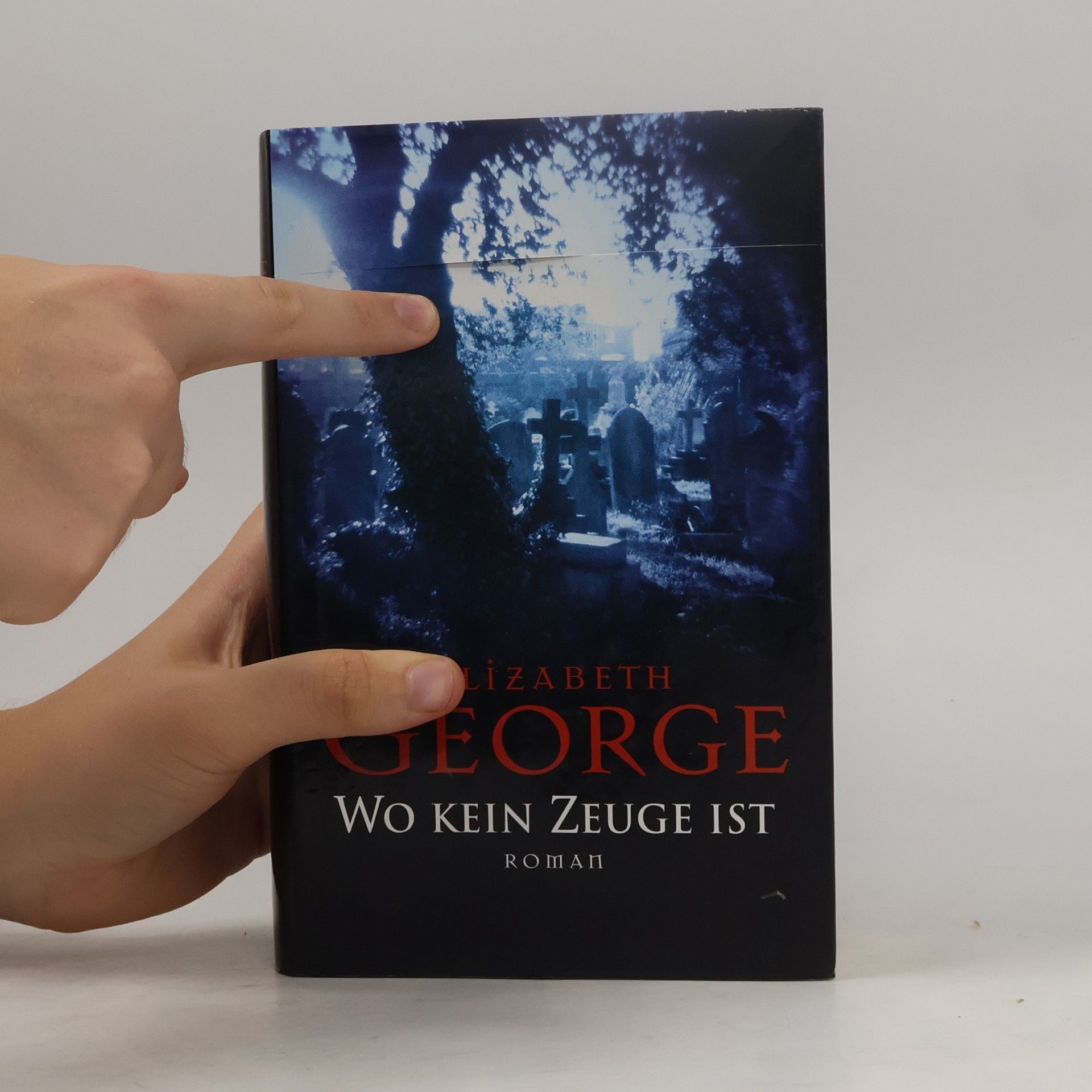 Elizabeth George Wo kein Zeuge ist