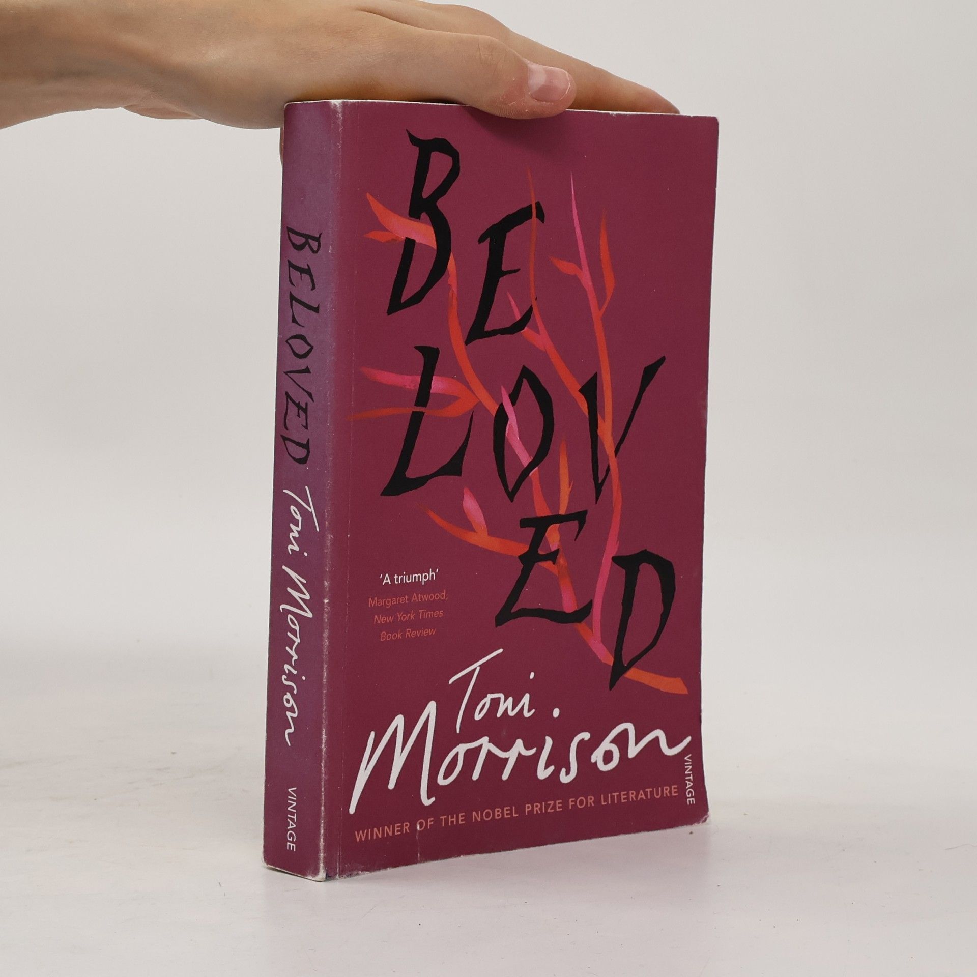 Toni Morrison Beloved