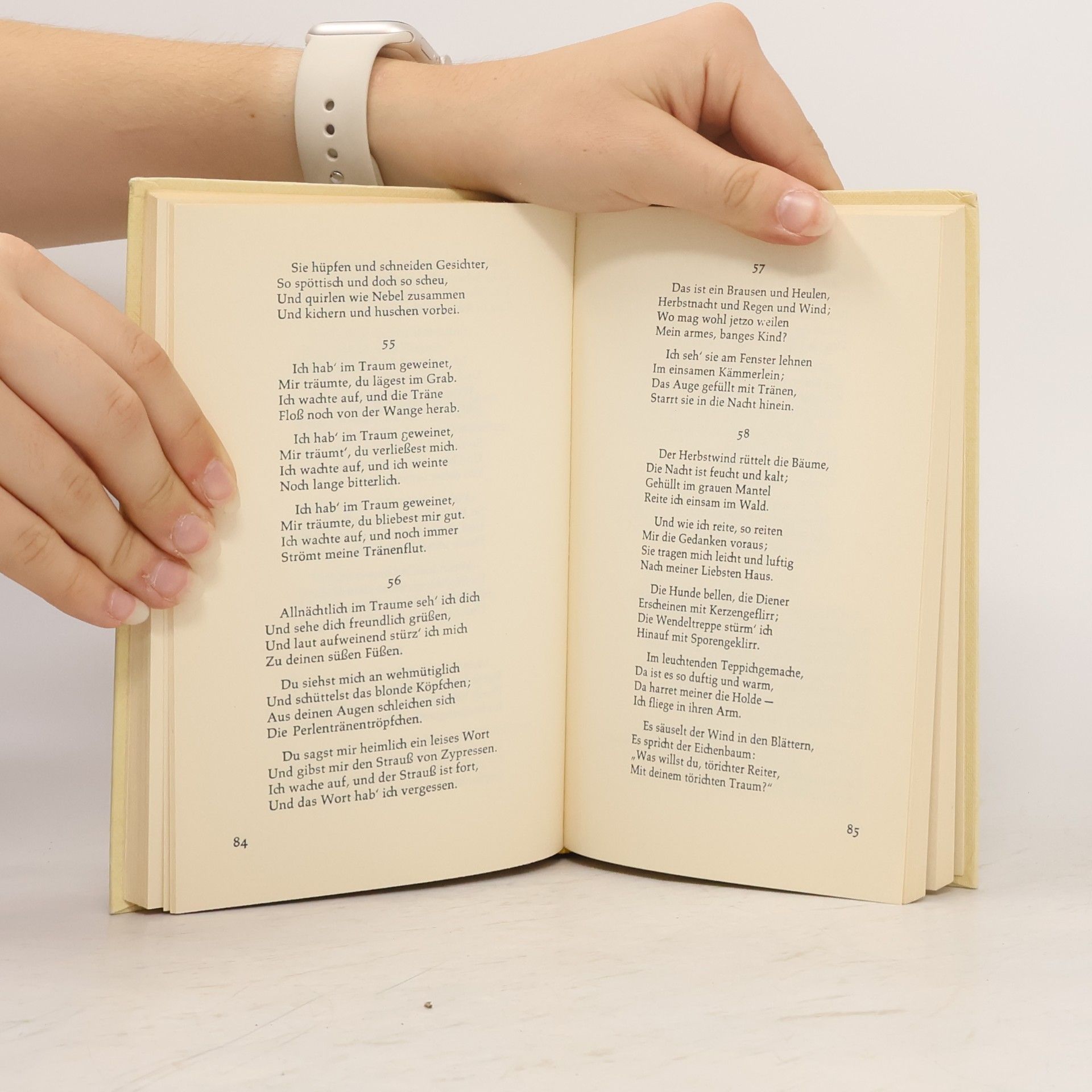Heinrich Heine Das Buch der Lieder