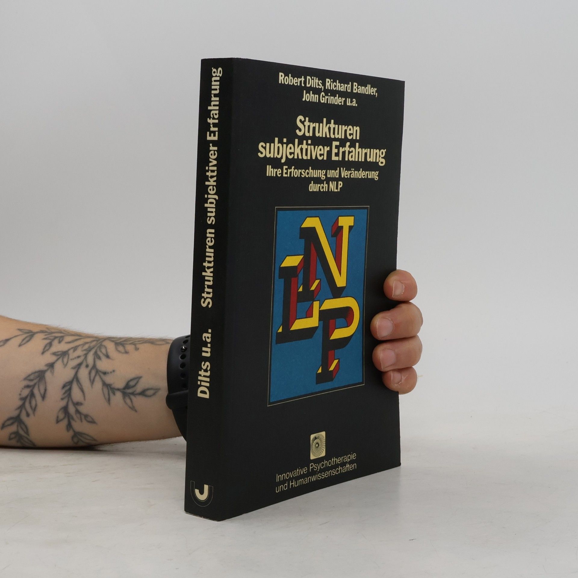 Strukturen subjektiver Erfahrung