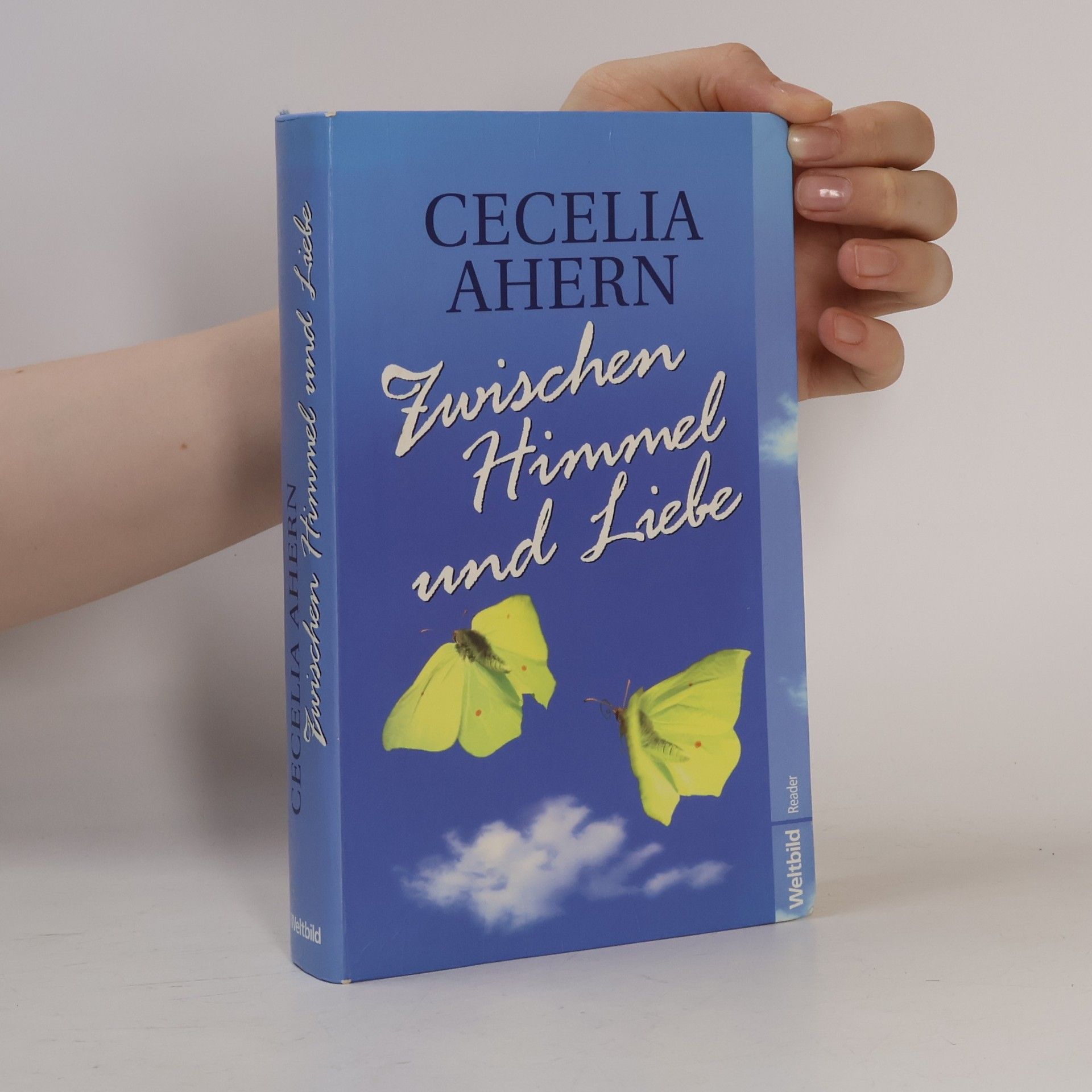 Cecelia Ahern Zwischen Himmel und Liebe