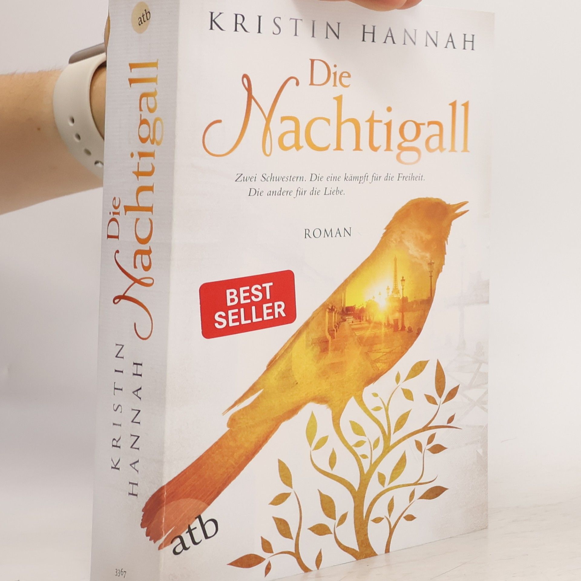 Kristin Hannah Die Nachtigall