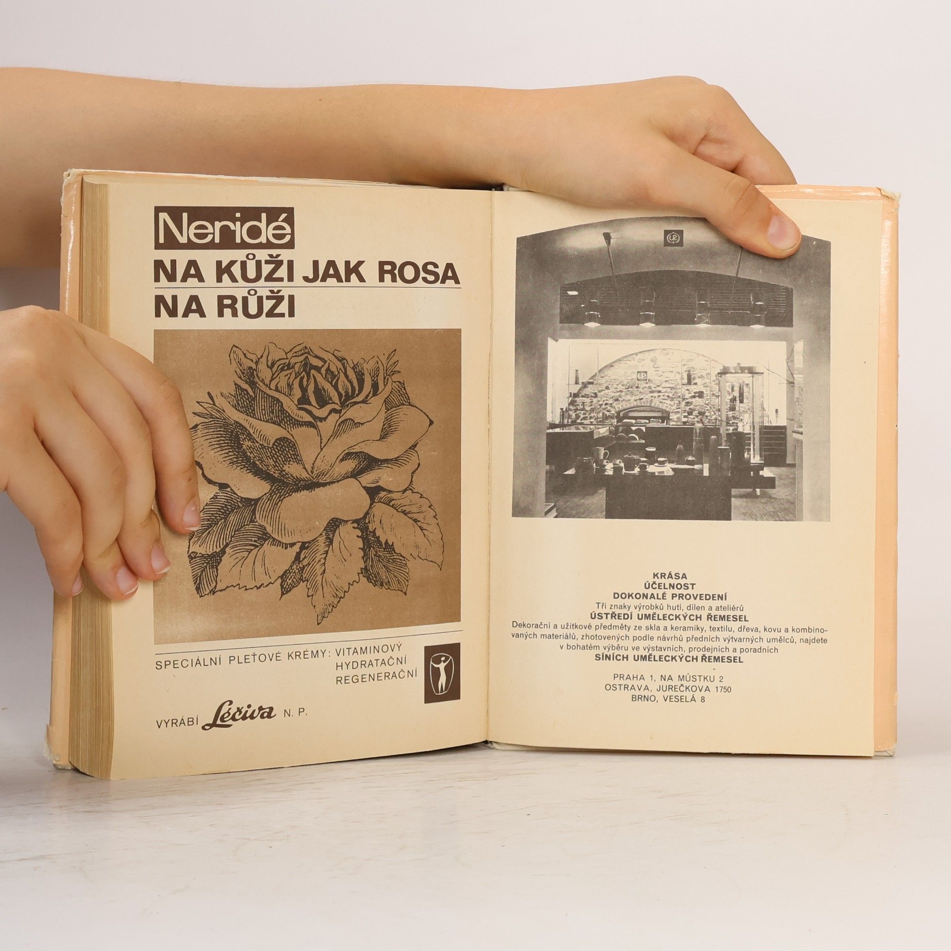 Collectif d'auteurs Encyklopedie mladé ženy