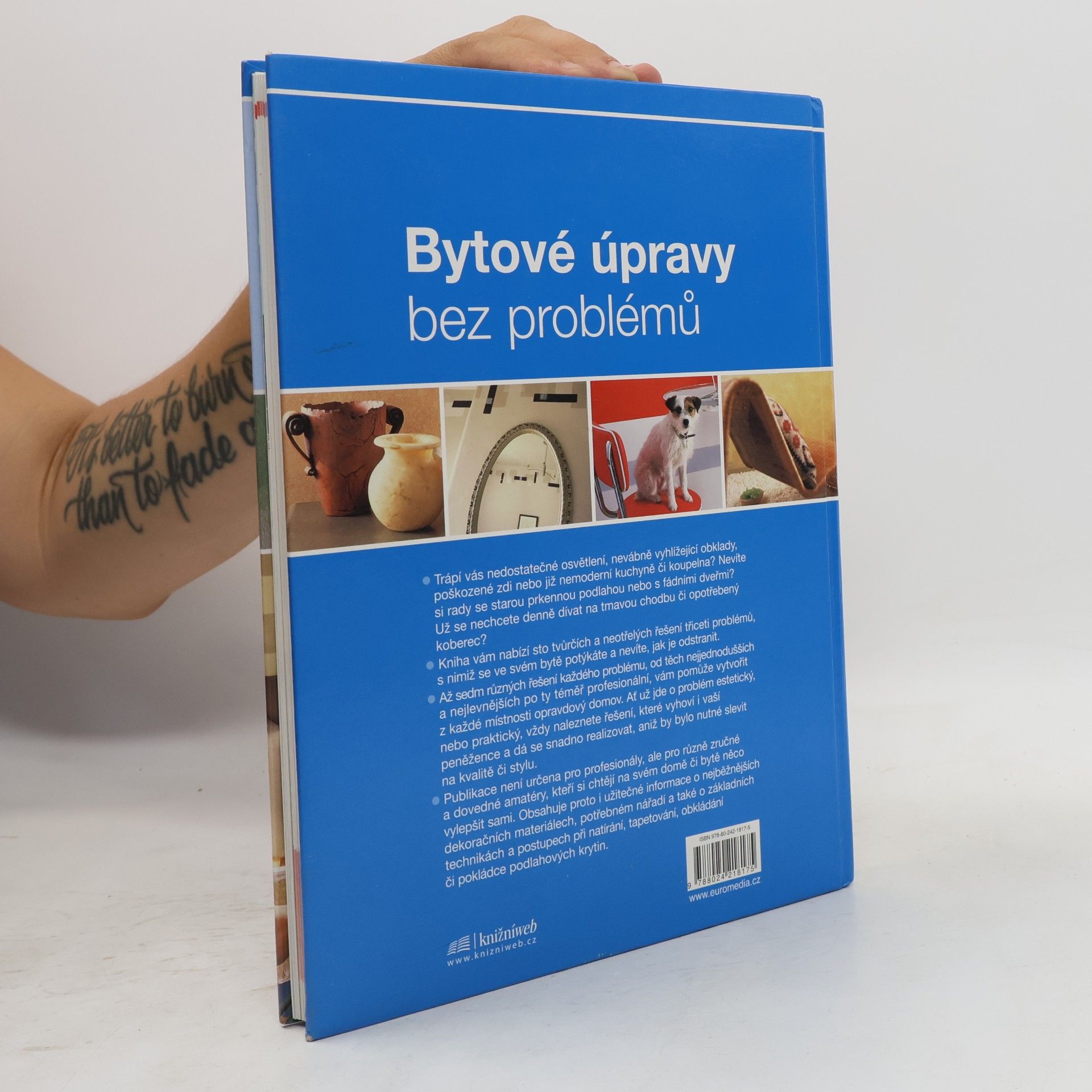 Sacha Cohen Bytové úpravy bez problémů. 100 nápaditých řešení pro váš byt