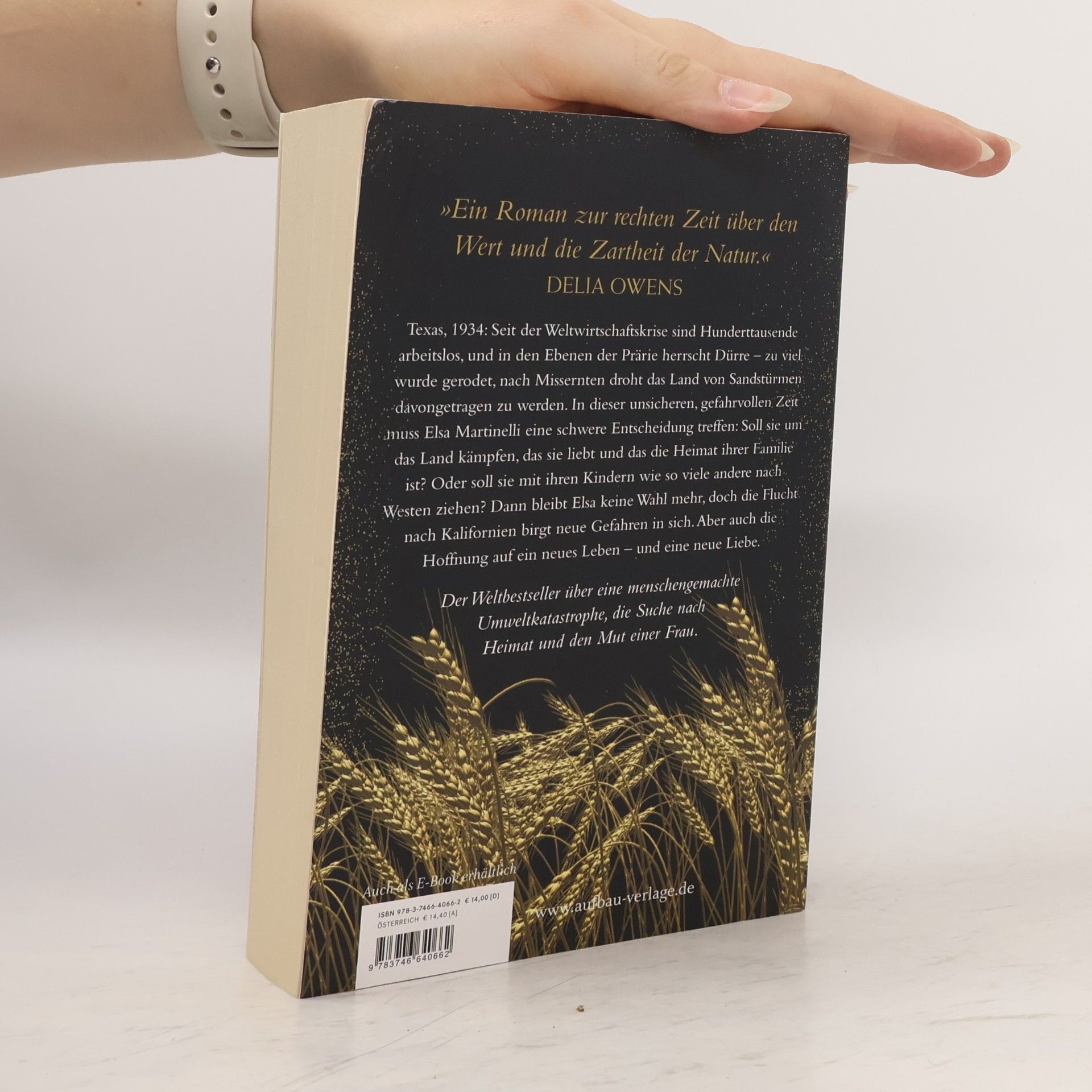 Kristin Hannah Die vier Winde