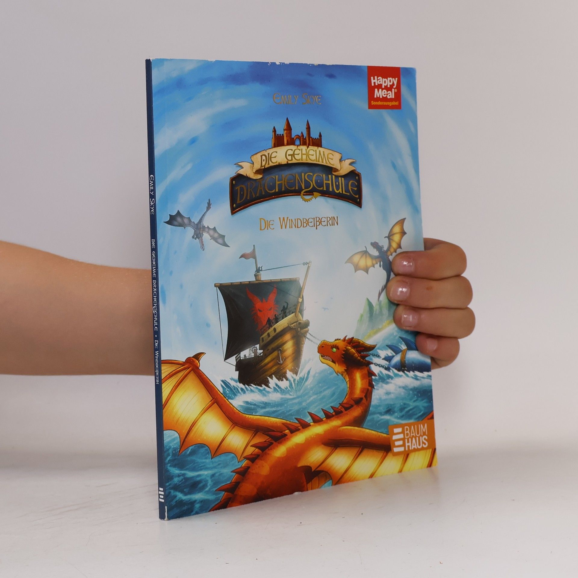 Emily Skye Die geheime Drachenschule