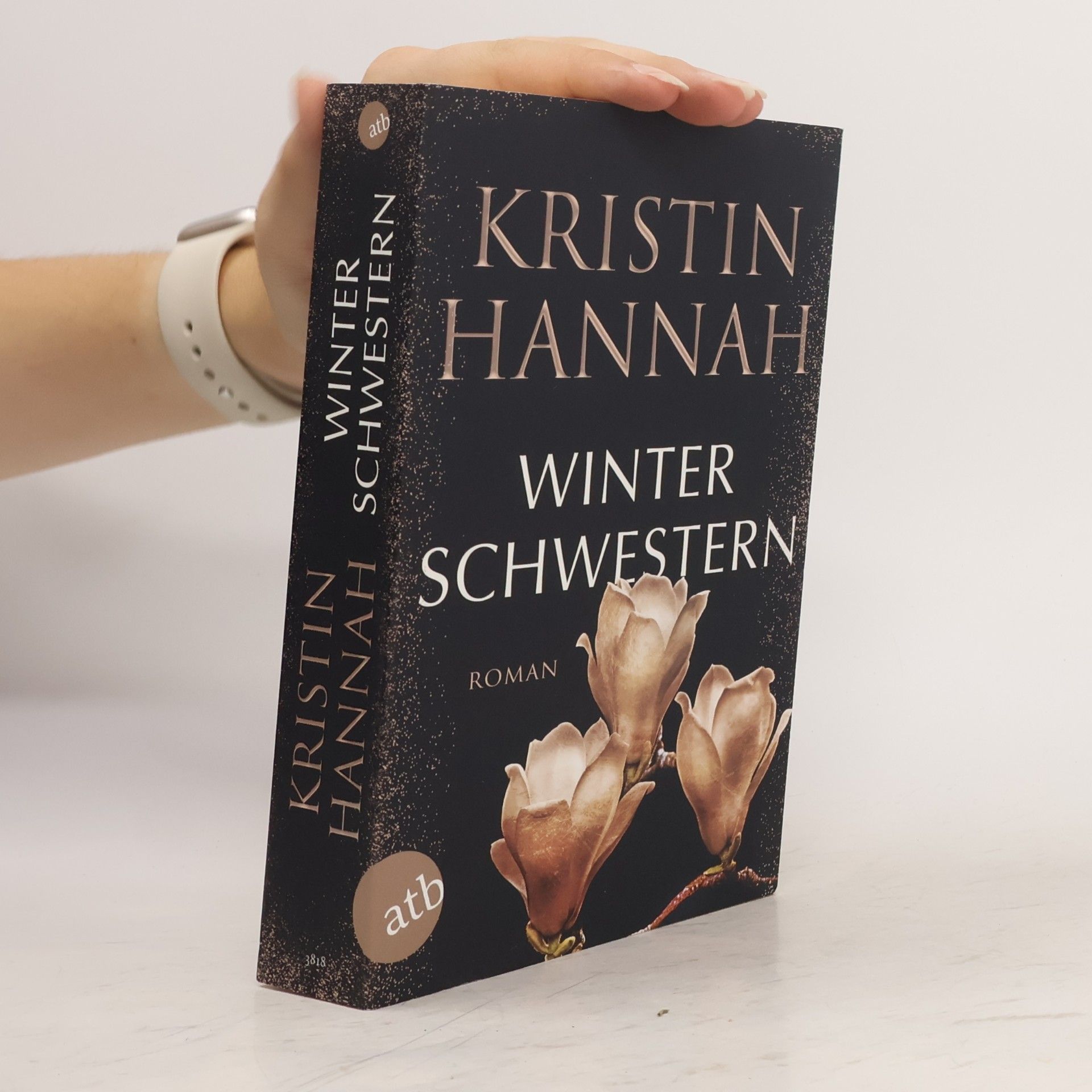 Kristin Hannah Winterschwestern