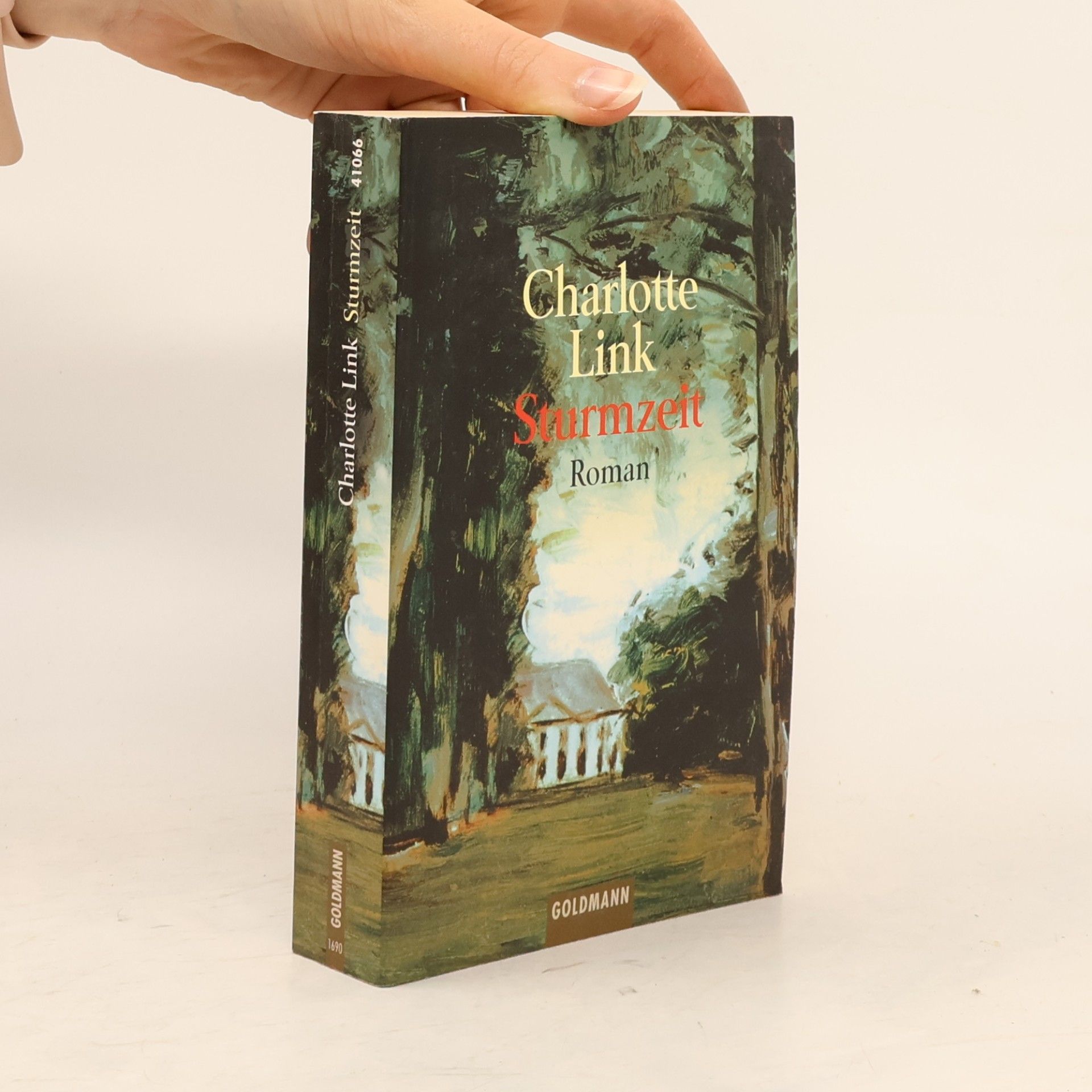 Charlotte Link Sturmzeit