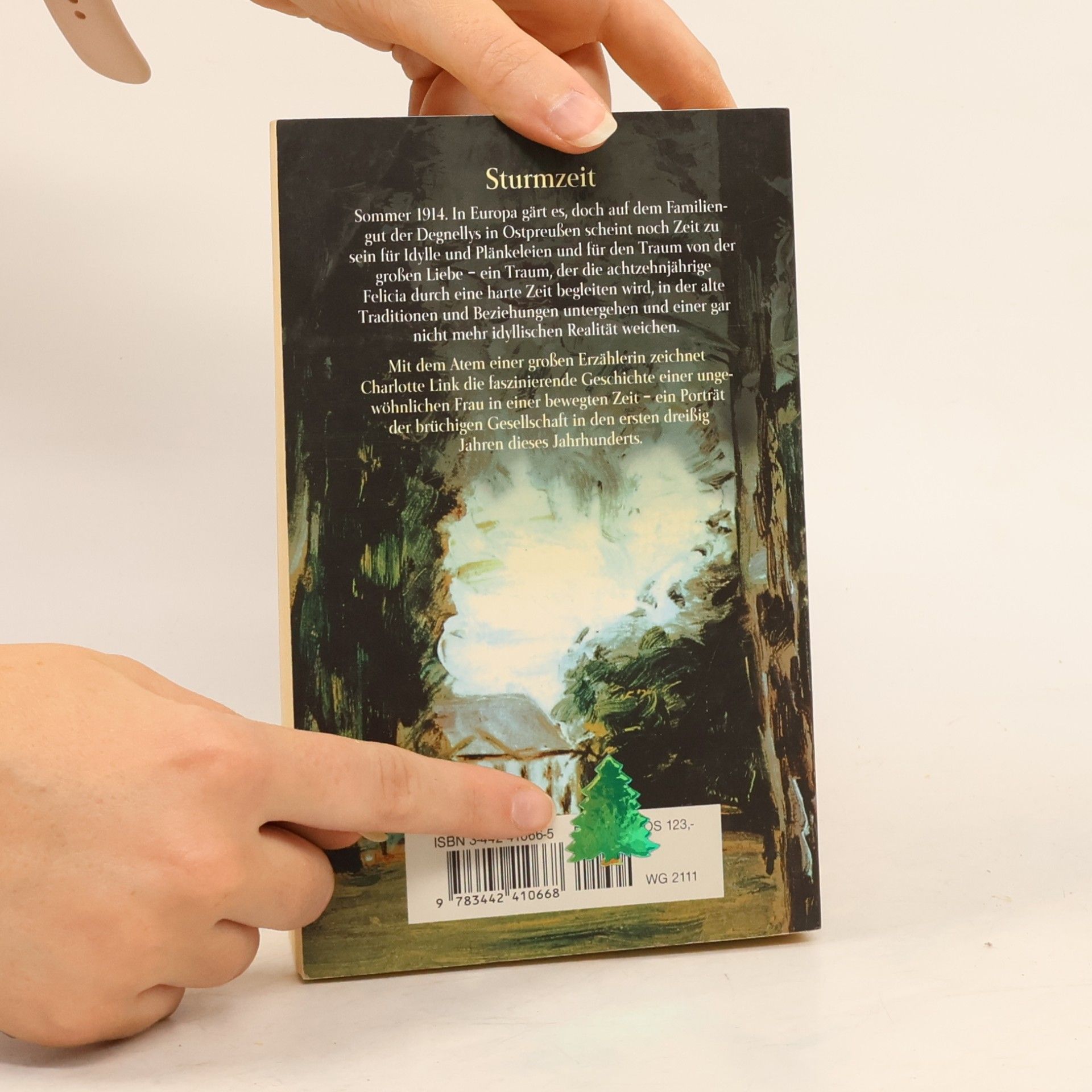 Charlotte Link Sturmzeit