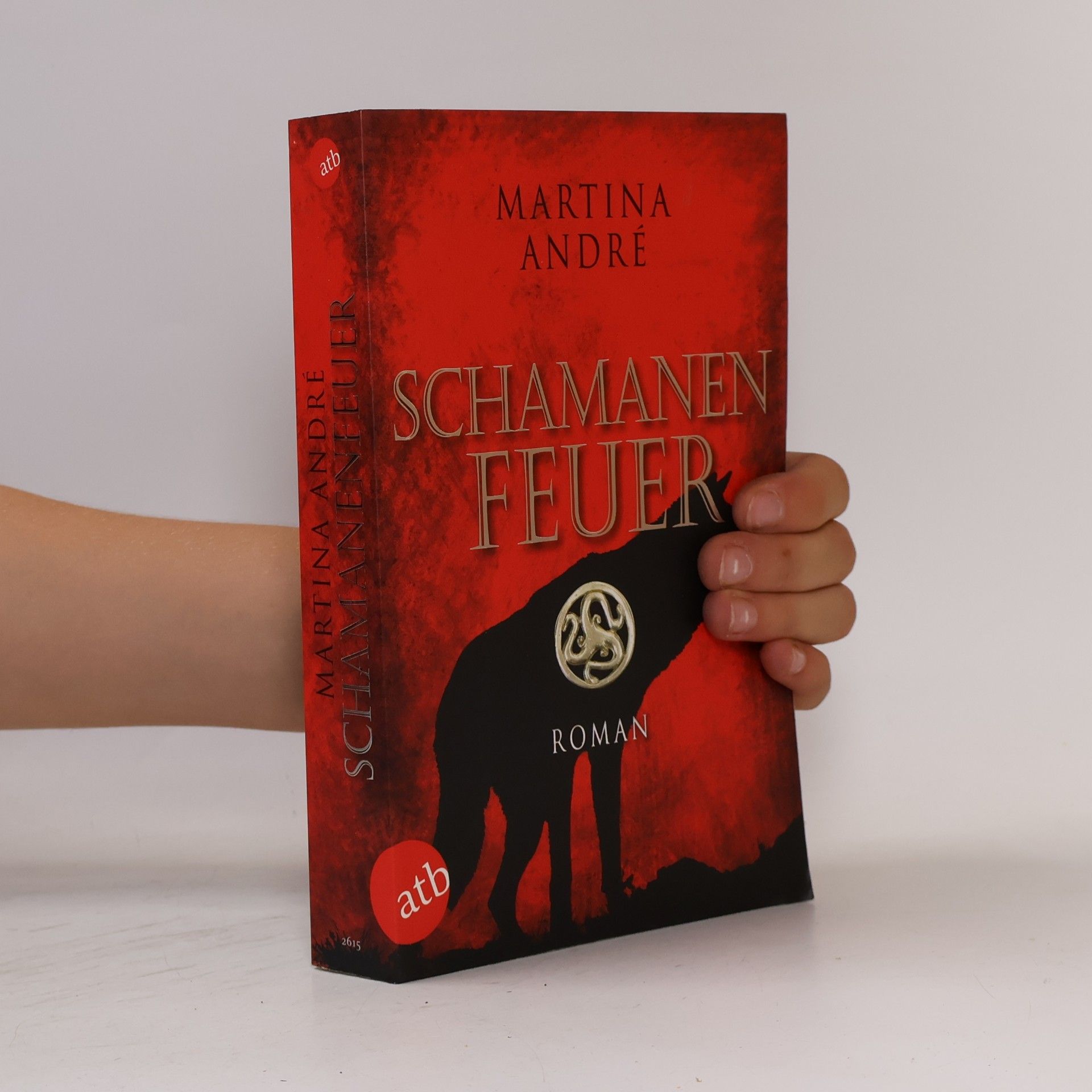 Martina Andre Schamanenfeuer