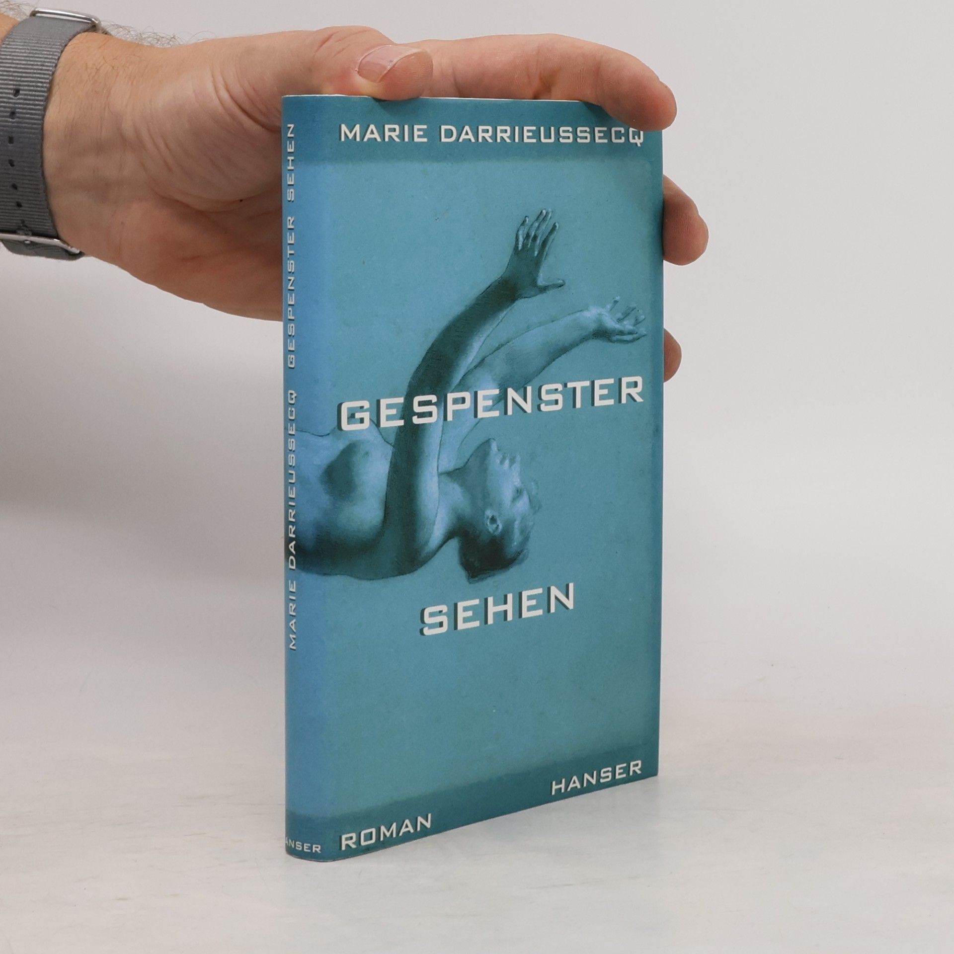 Marie Darrieussecq Gespenster sehen