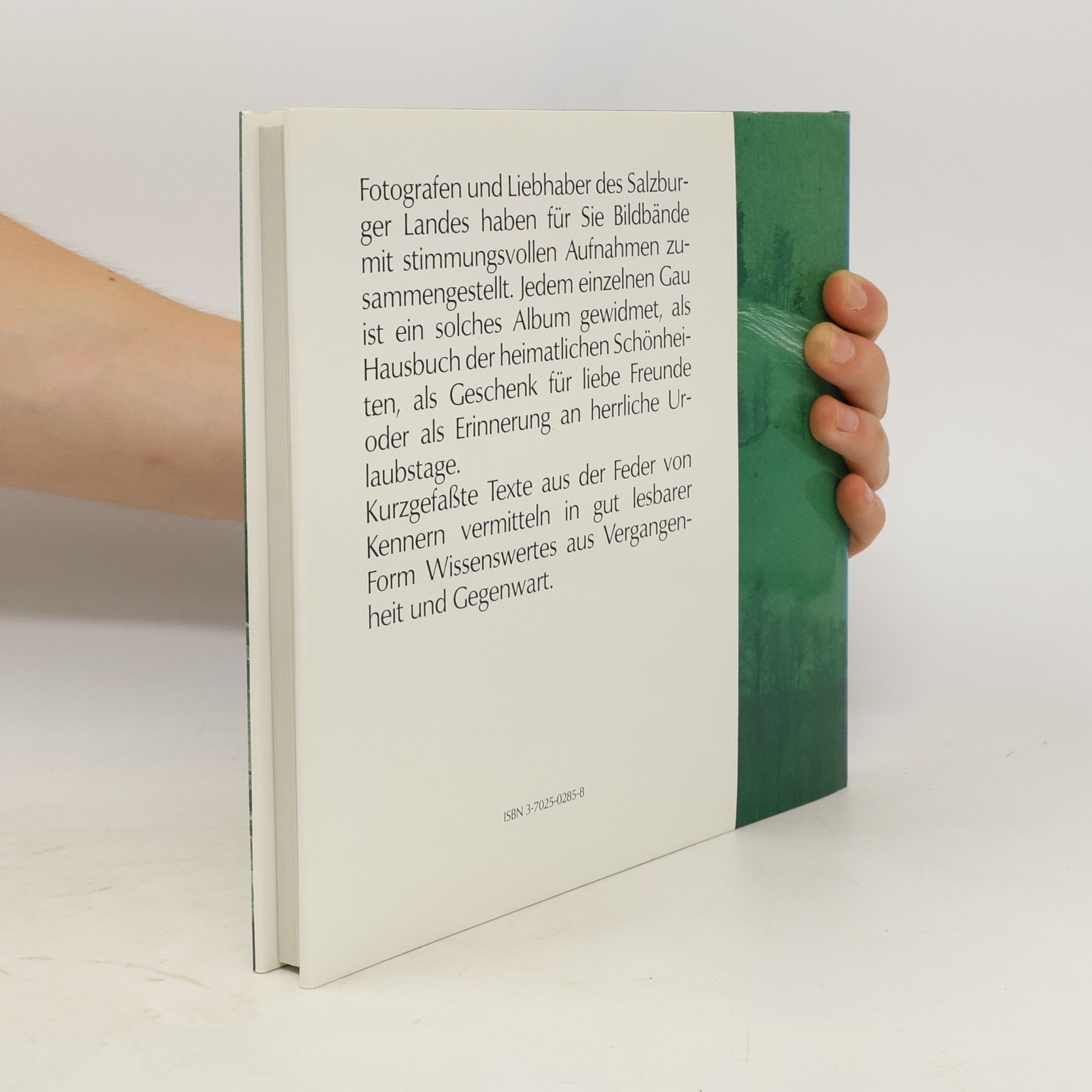 AA.VV. Pongau. Porträt einer poetischen Landschaft
