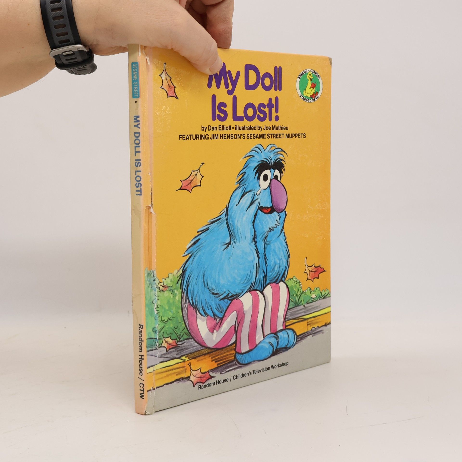 My Doll is Lost!