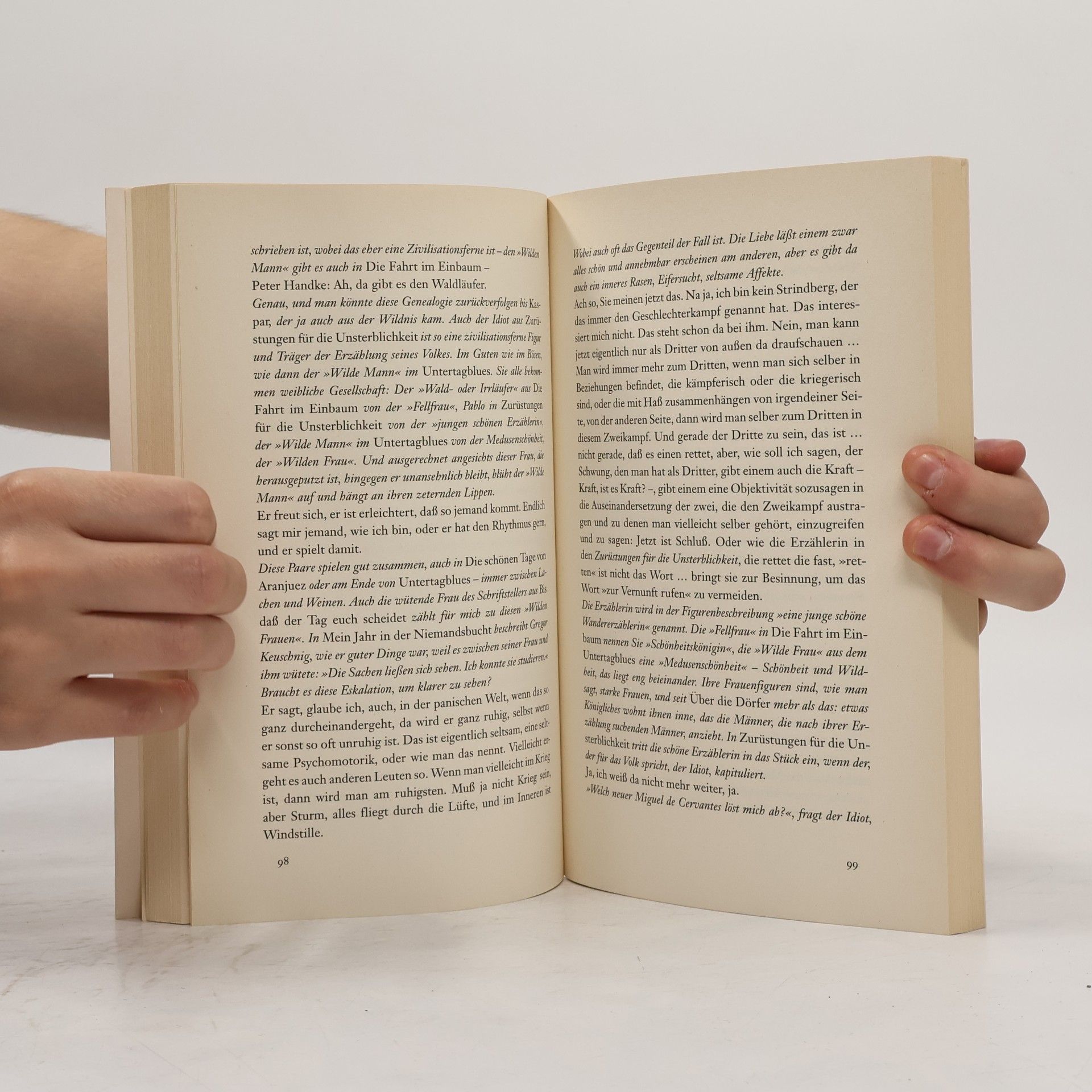 Peter Handke Nebeneingang oder Haupteingang?