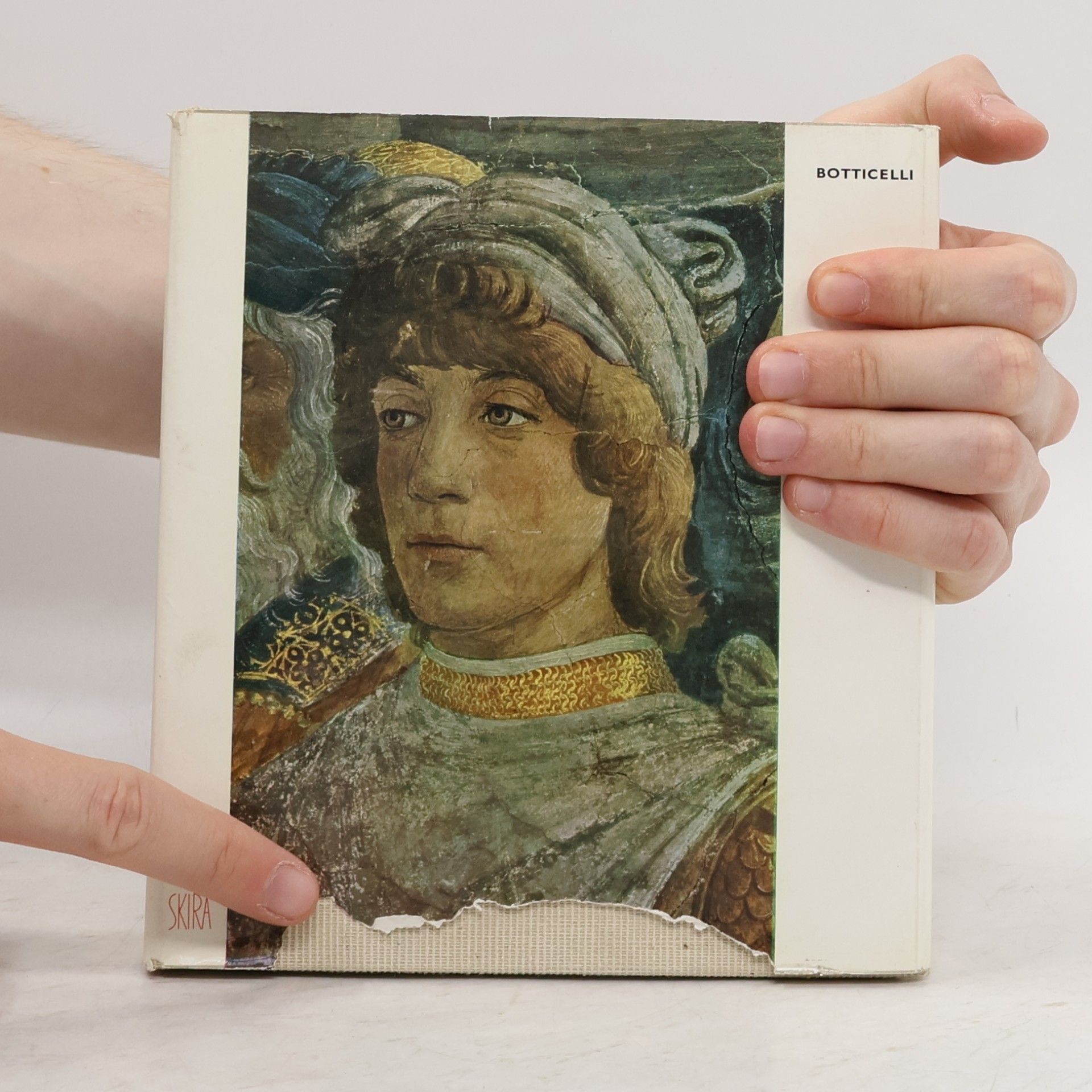 Autorenkollektiv Botticelli
