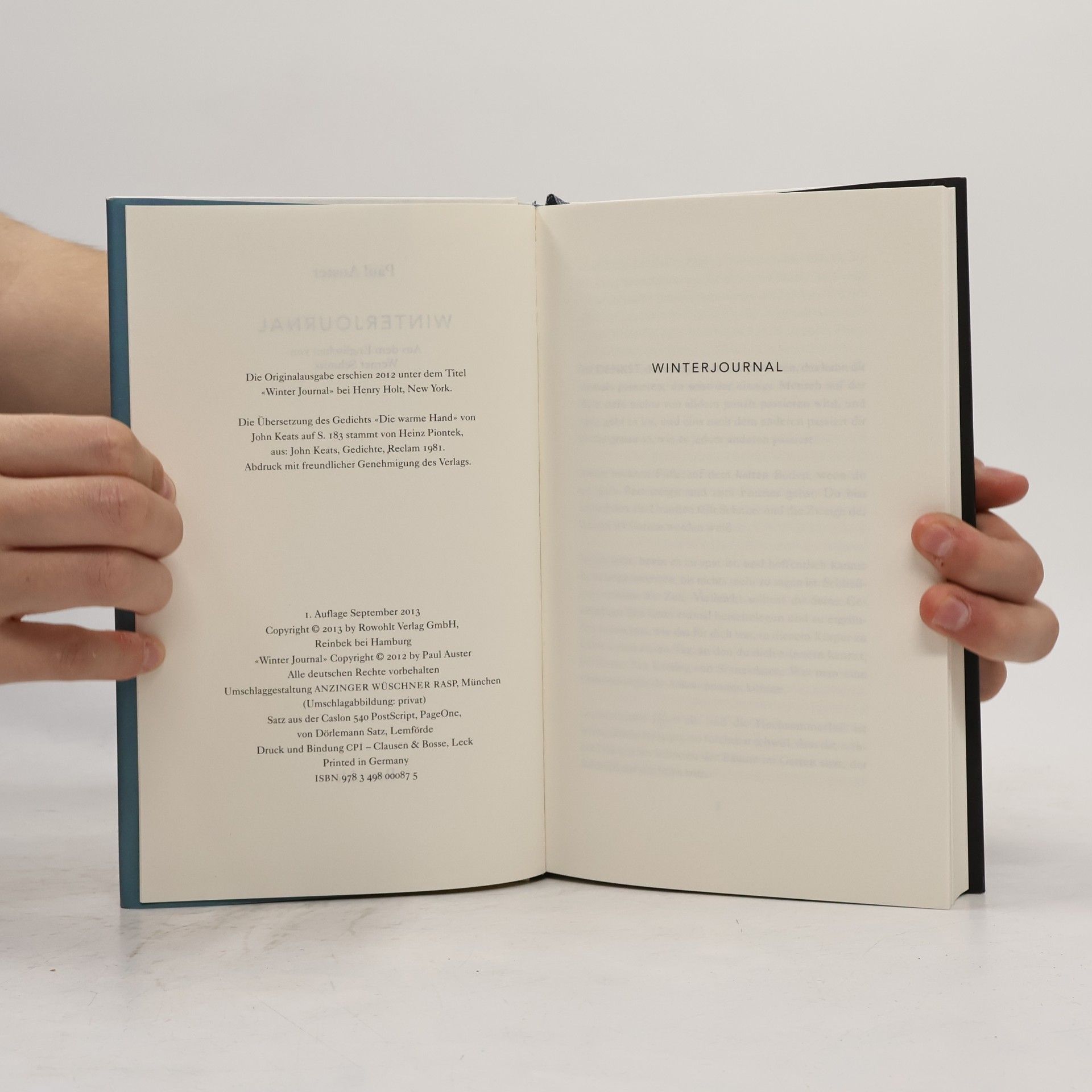 Paul Auster Winterjournal