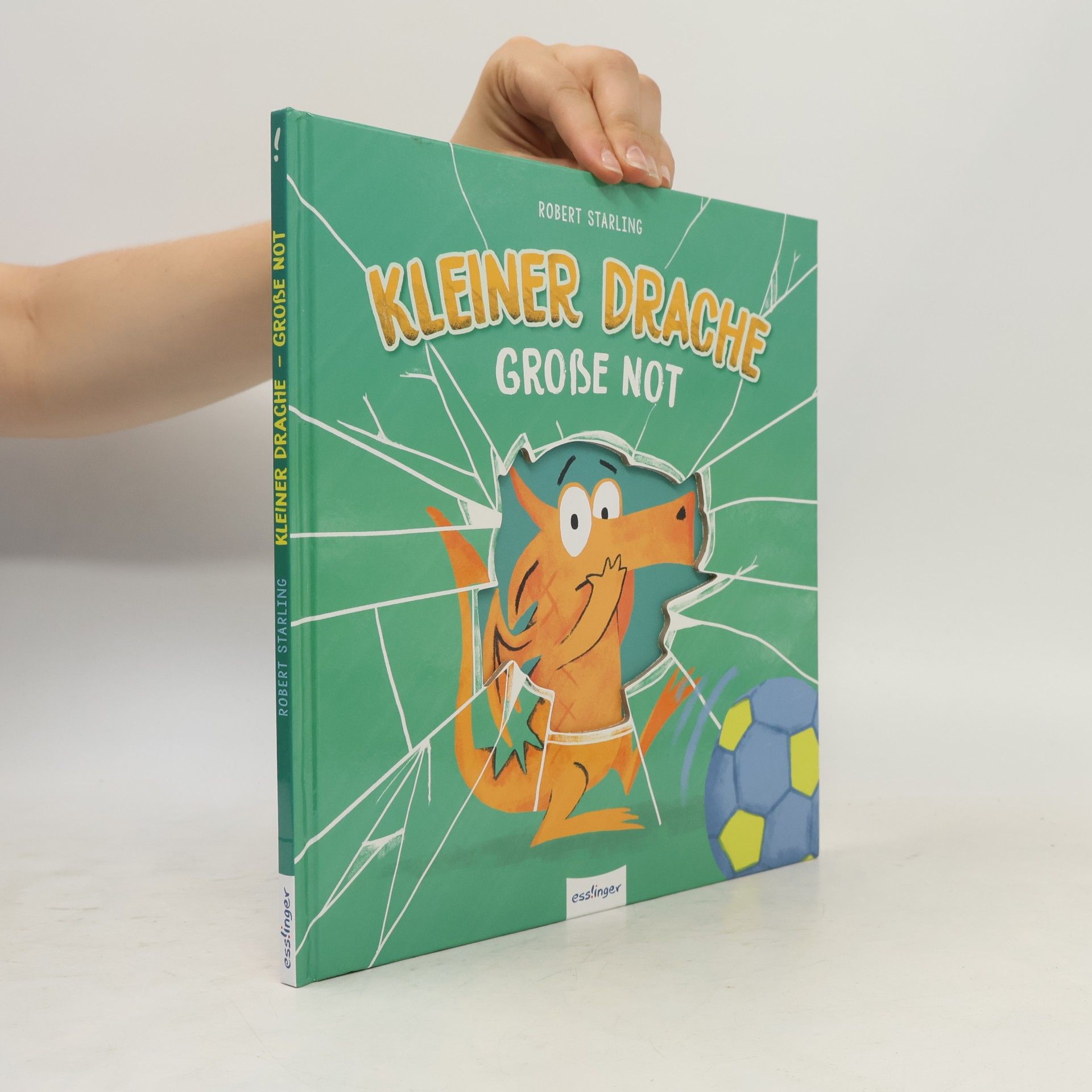 Robert Starling Kleiner Drache Finn: Kleiner Drache, große Not