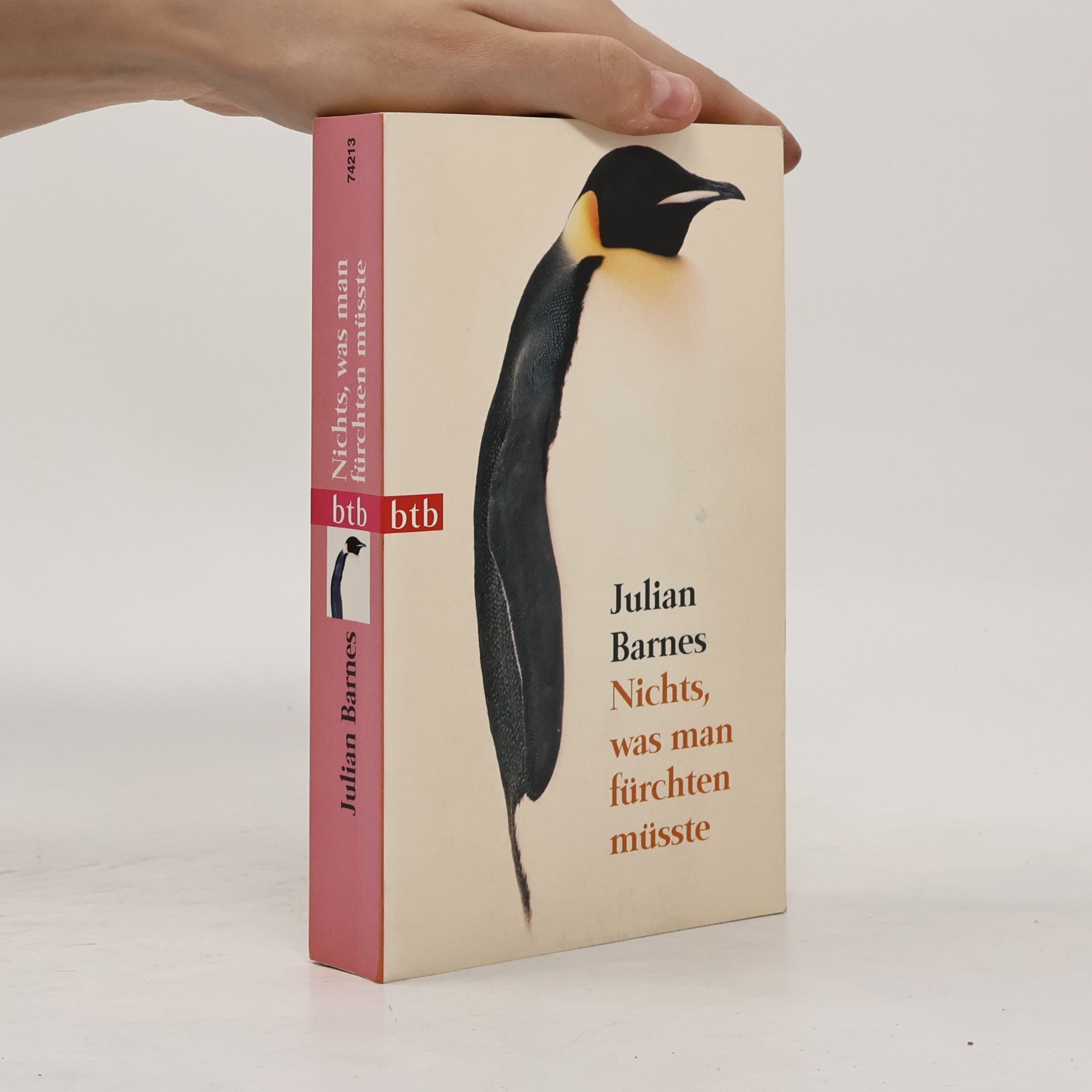 Julian Barnes Nichts, was man fürchten müsste