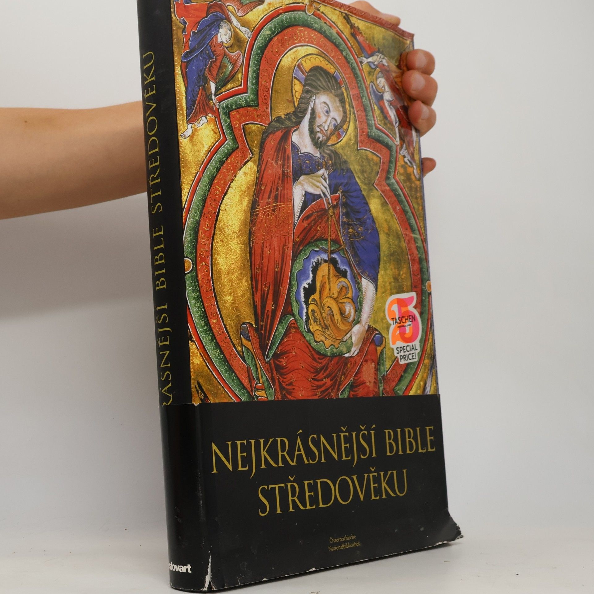 Andreas Fingernagel Nejkrásnější bible středověku