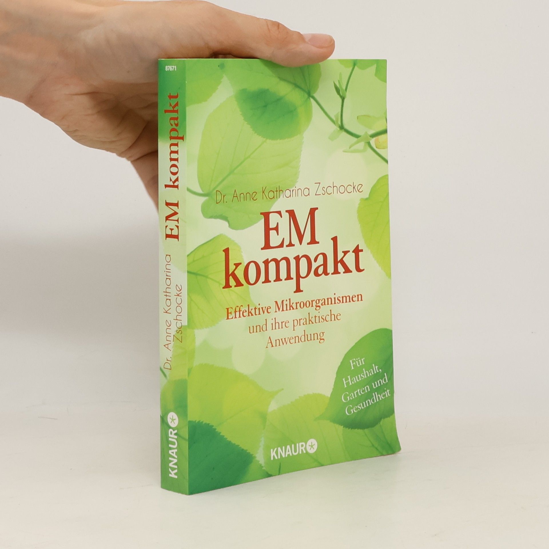 Anne Katharina Zschocke EM kompakt