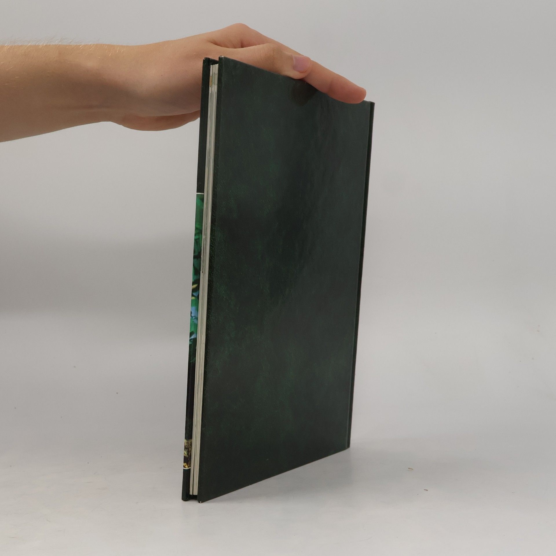 Autores varios Lebendiges Tierreich Band 2