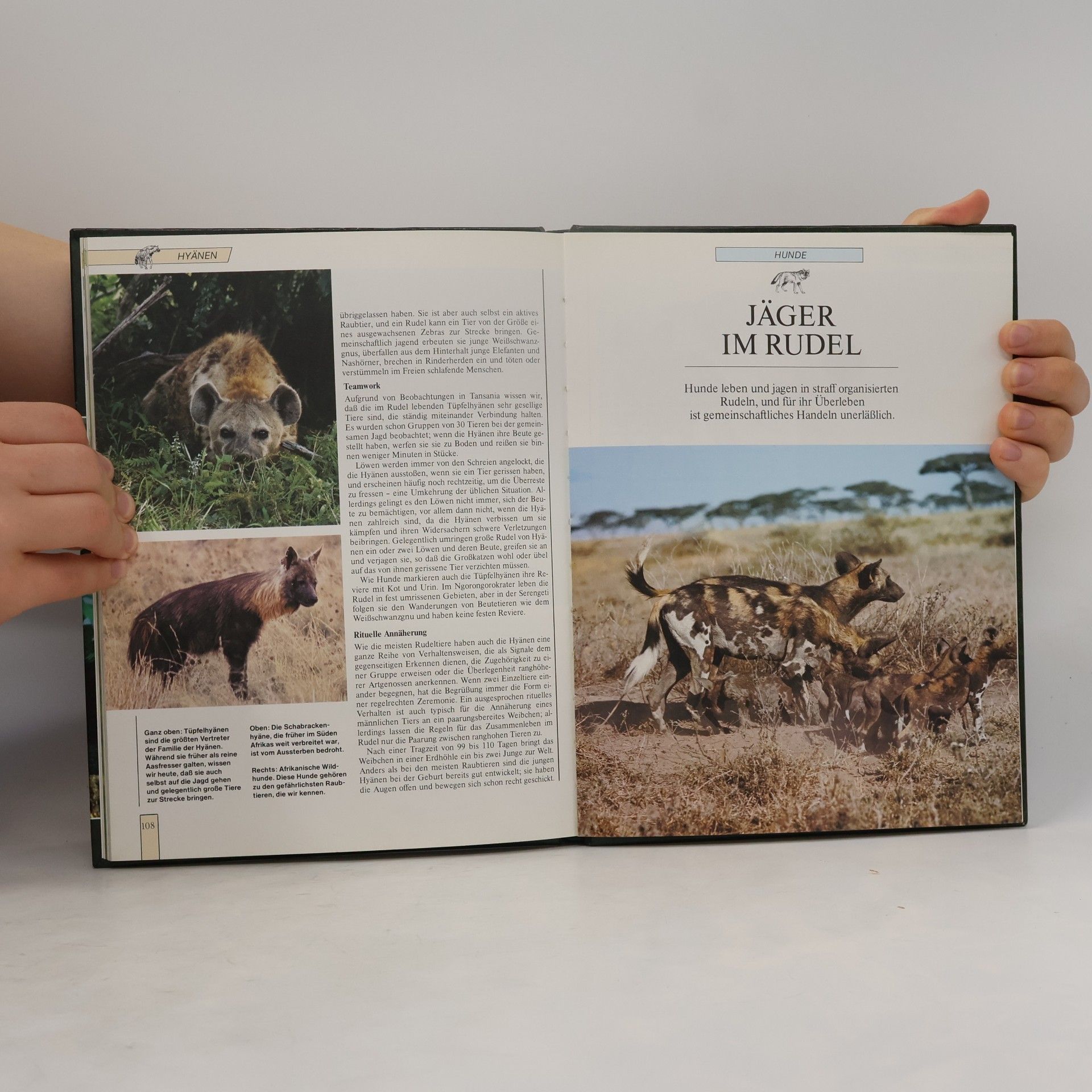 Autores varios Lebendiges Tierreich Band 2