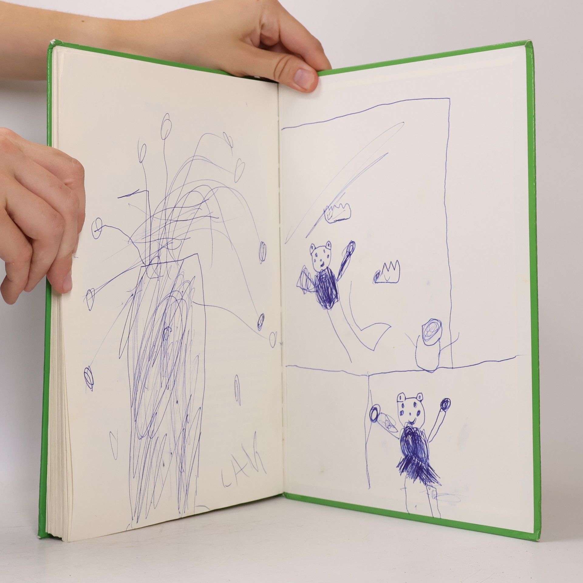 Fritz Baumgarten Mein großes farbiges Teddybuch