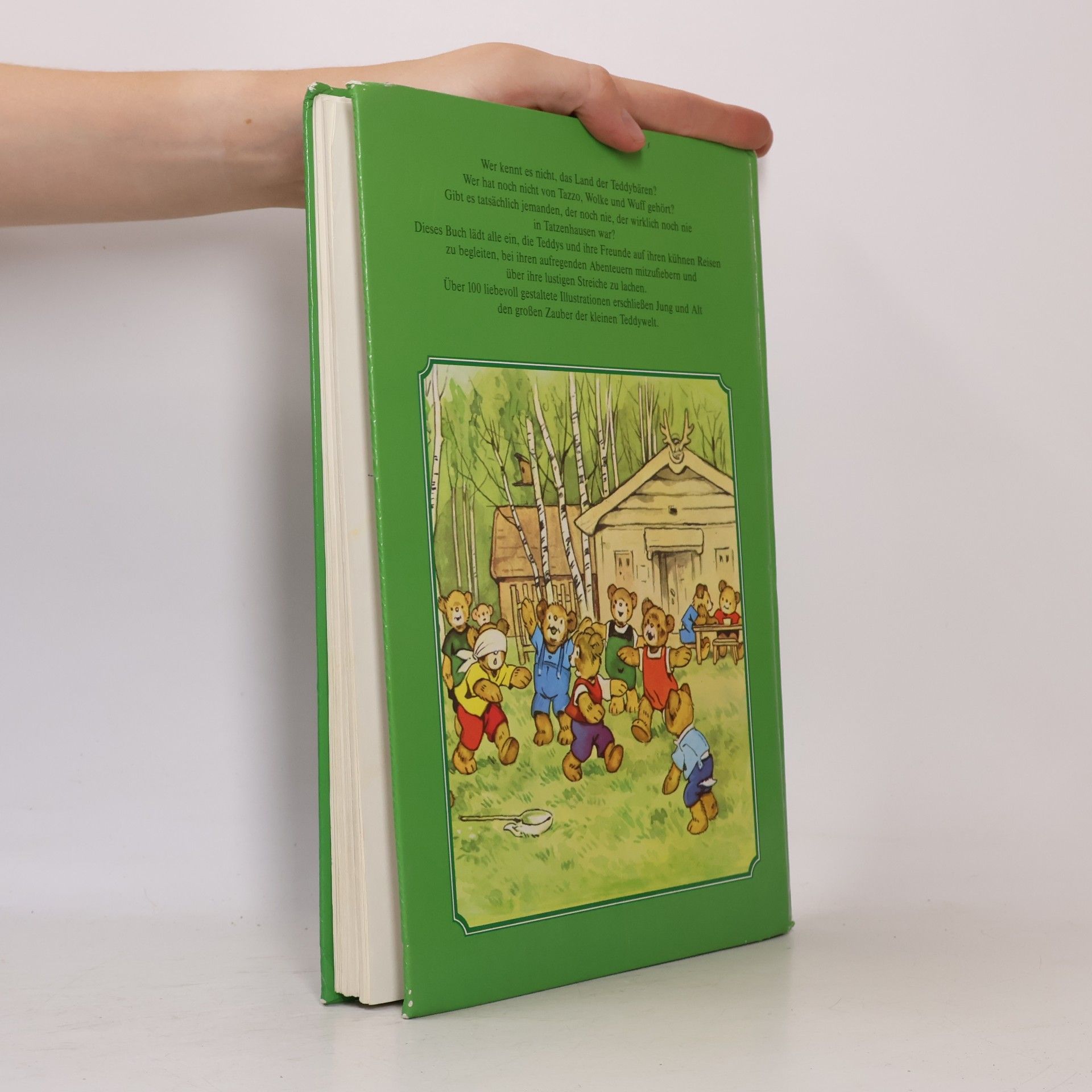 Fritz Baumgarten Mein großes farbiges Teddybuch