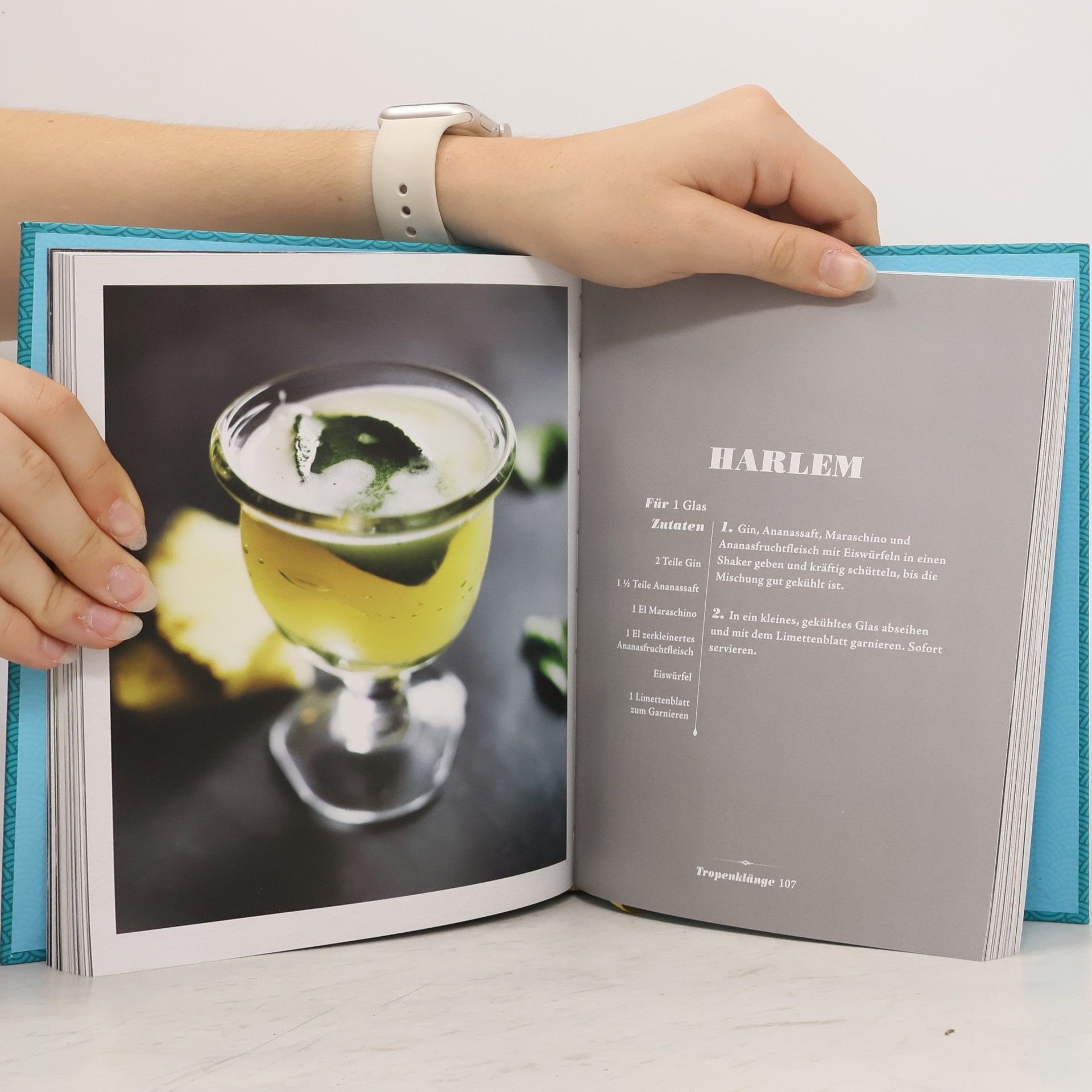 Autorenkollektiv Das Barhandbuch. Gin