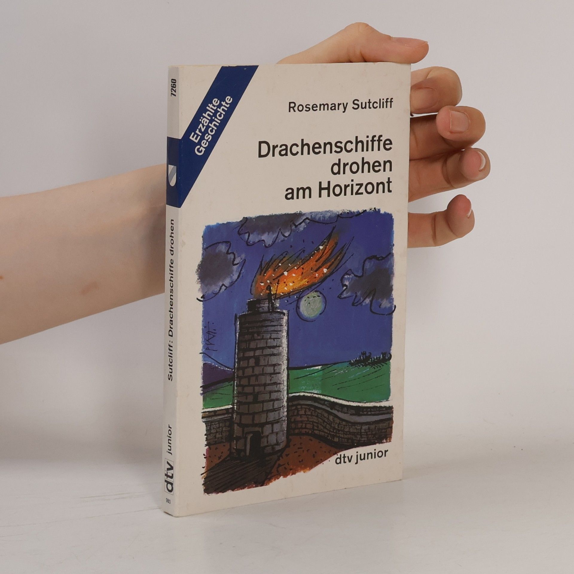 Drachenschiffe drohen am Horizont