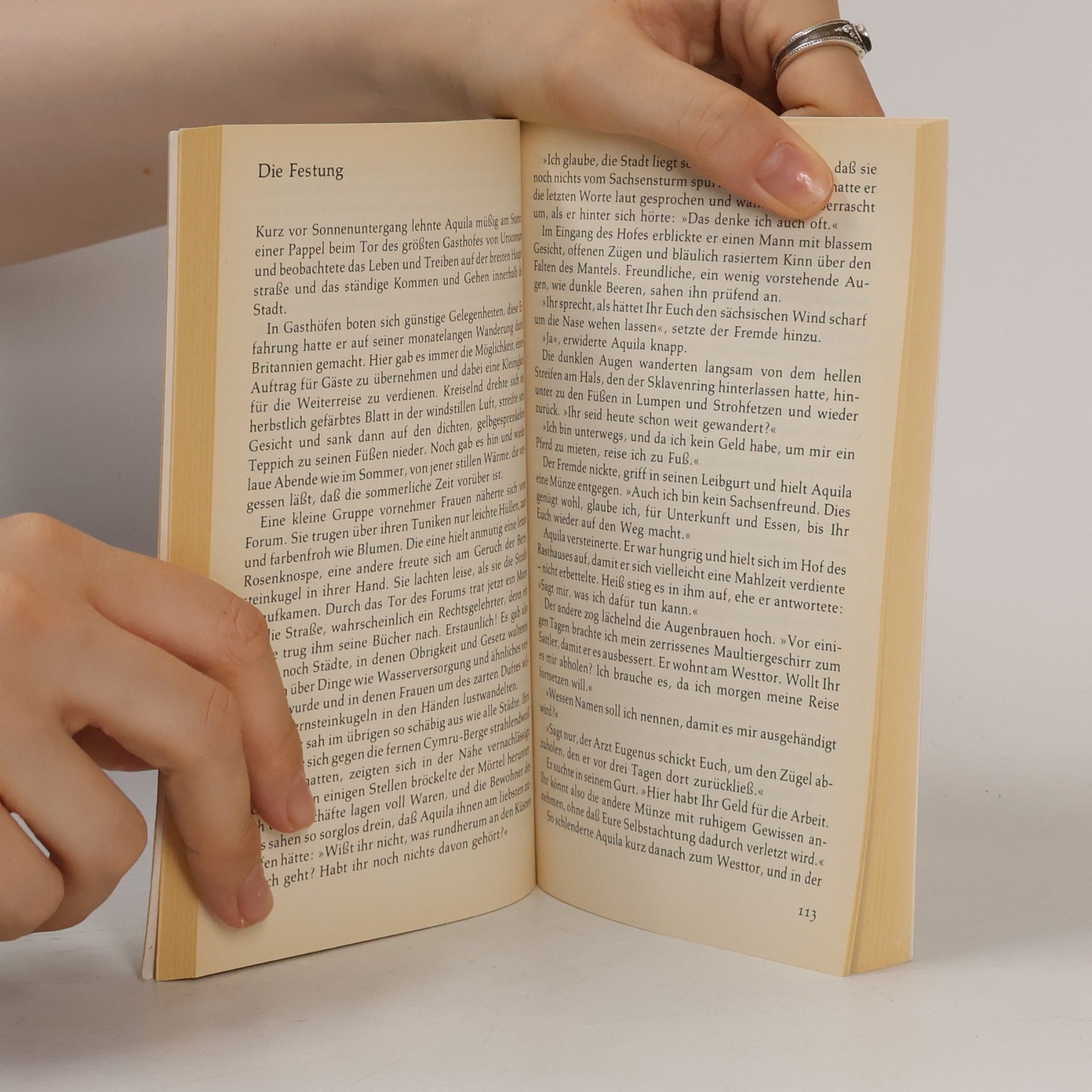 Rosemary Sutcliff Drachenschiffe drohen am Horizont