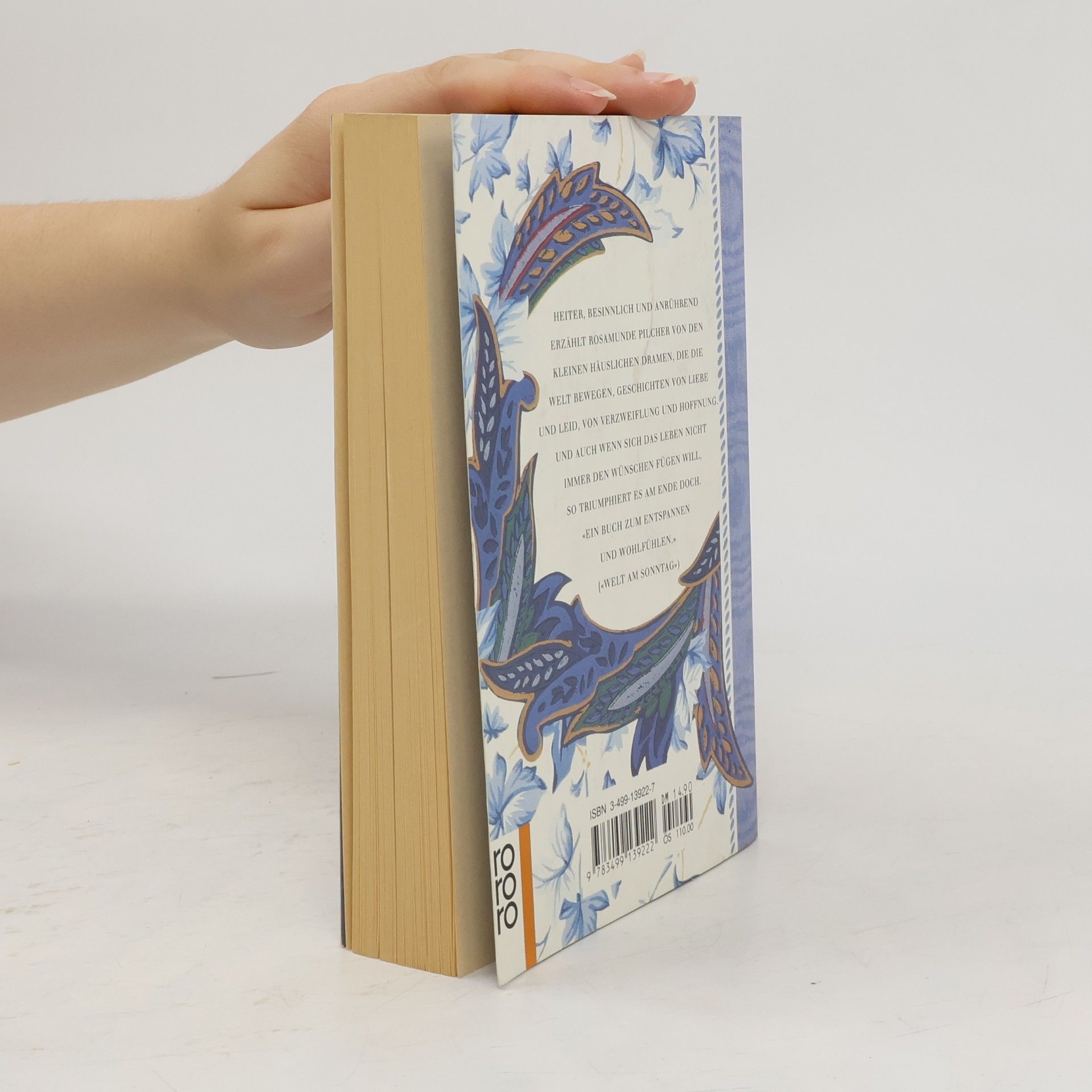 Rosamunde Pilcher Das blaue Zimmer
