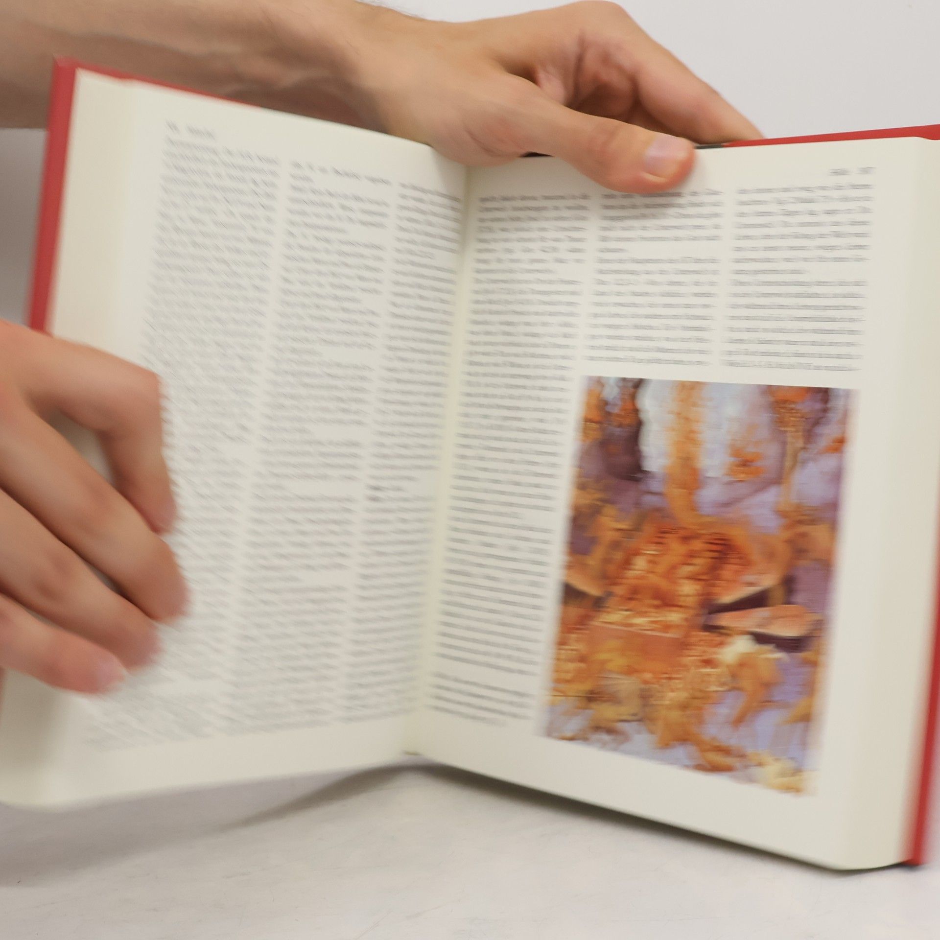 Autorenkollektiv Das große Bibel-Lexikon