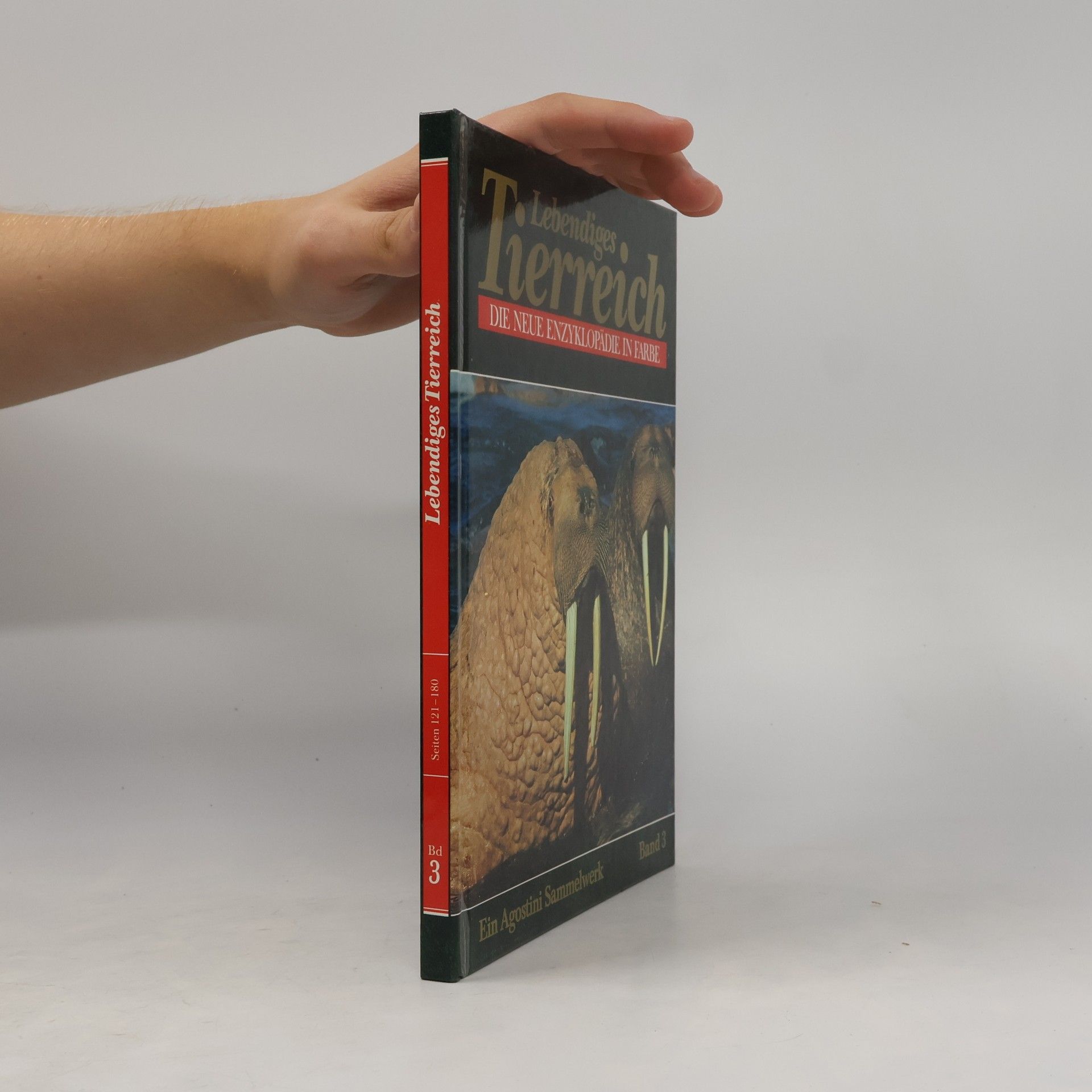 Autorenkollektiv Lebendiges Tierreich 3