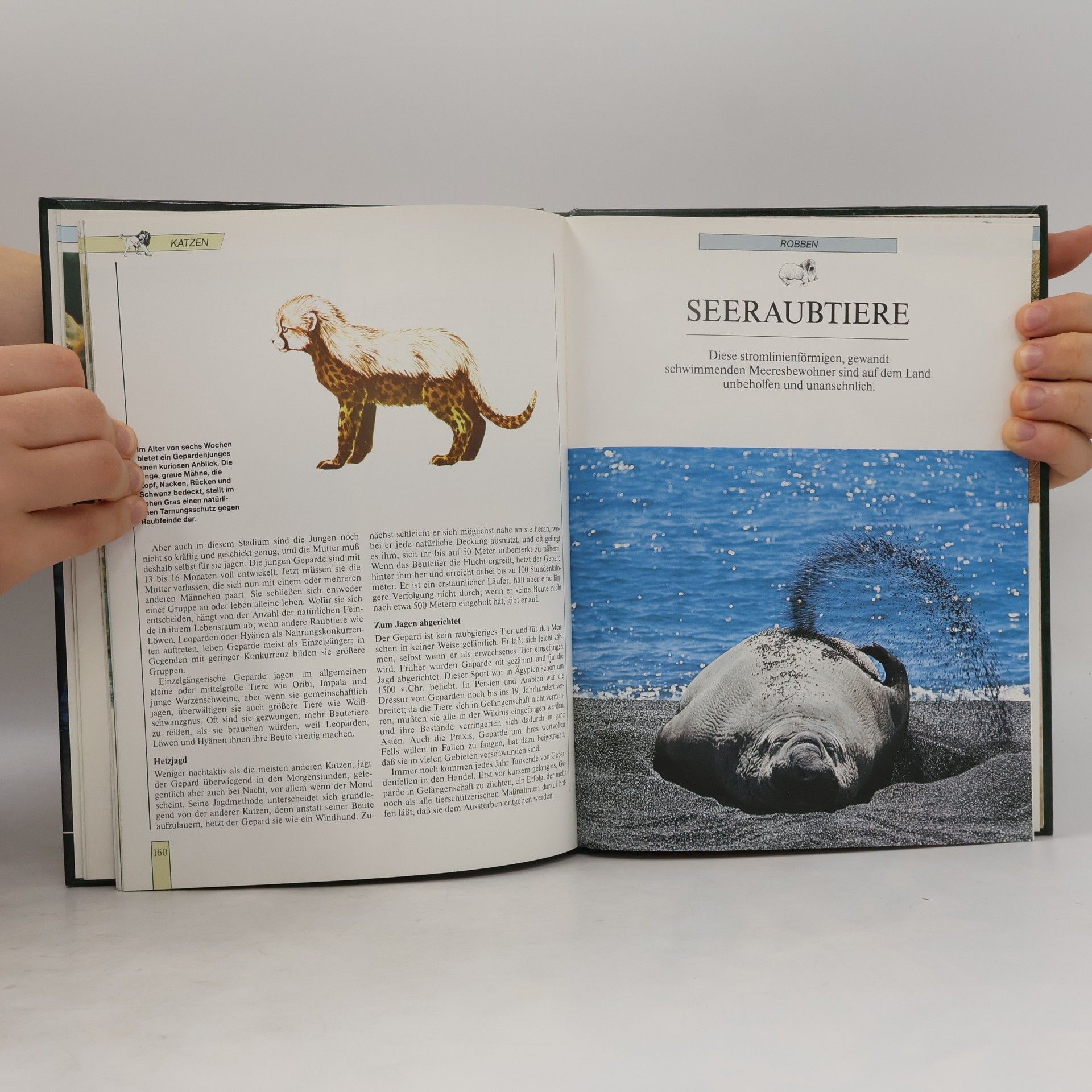 Autorenkollektiv Lebendiges Tierreich 3