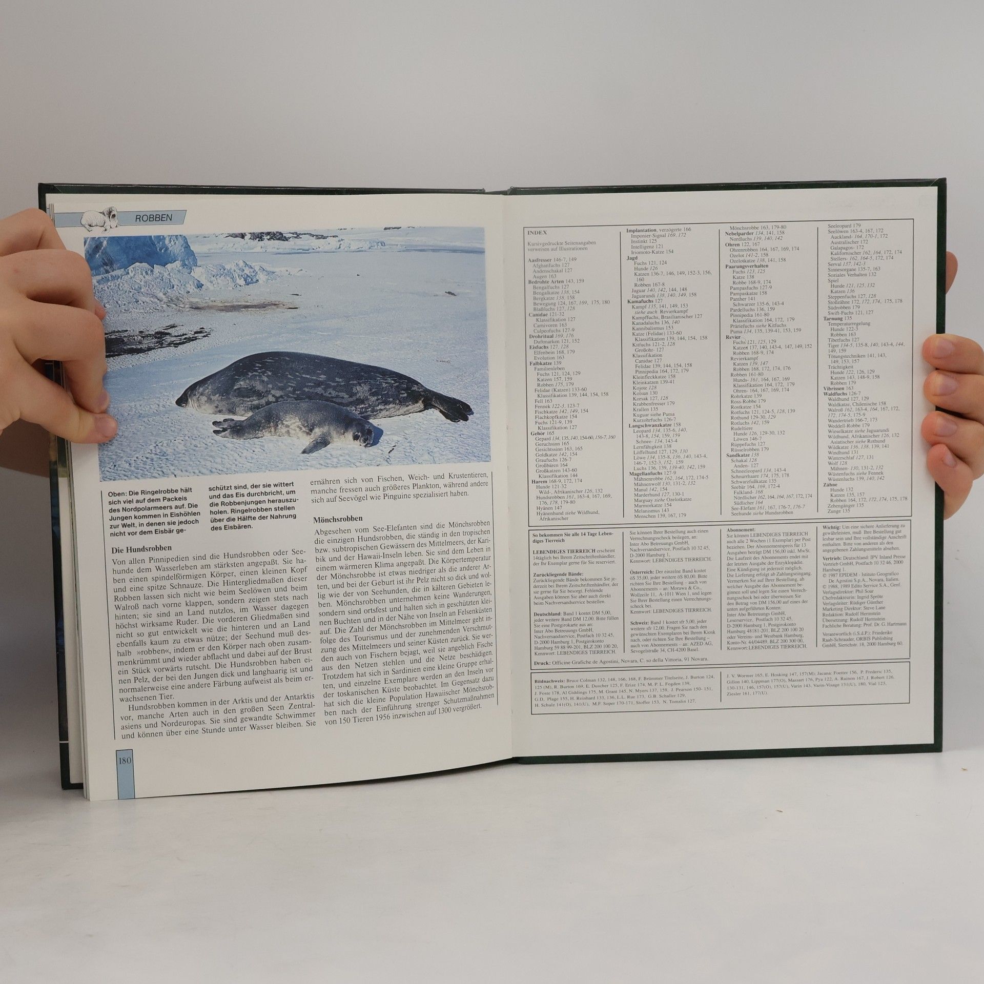 Autorenkollektiv Lebendiges Tierreich 3