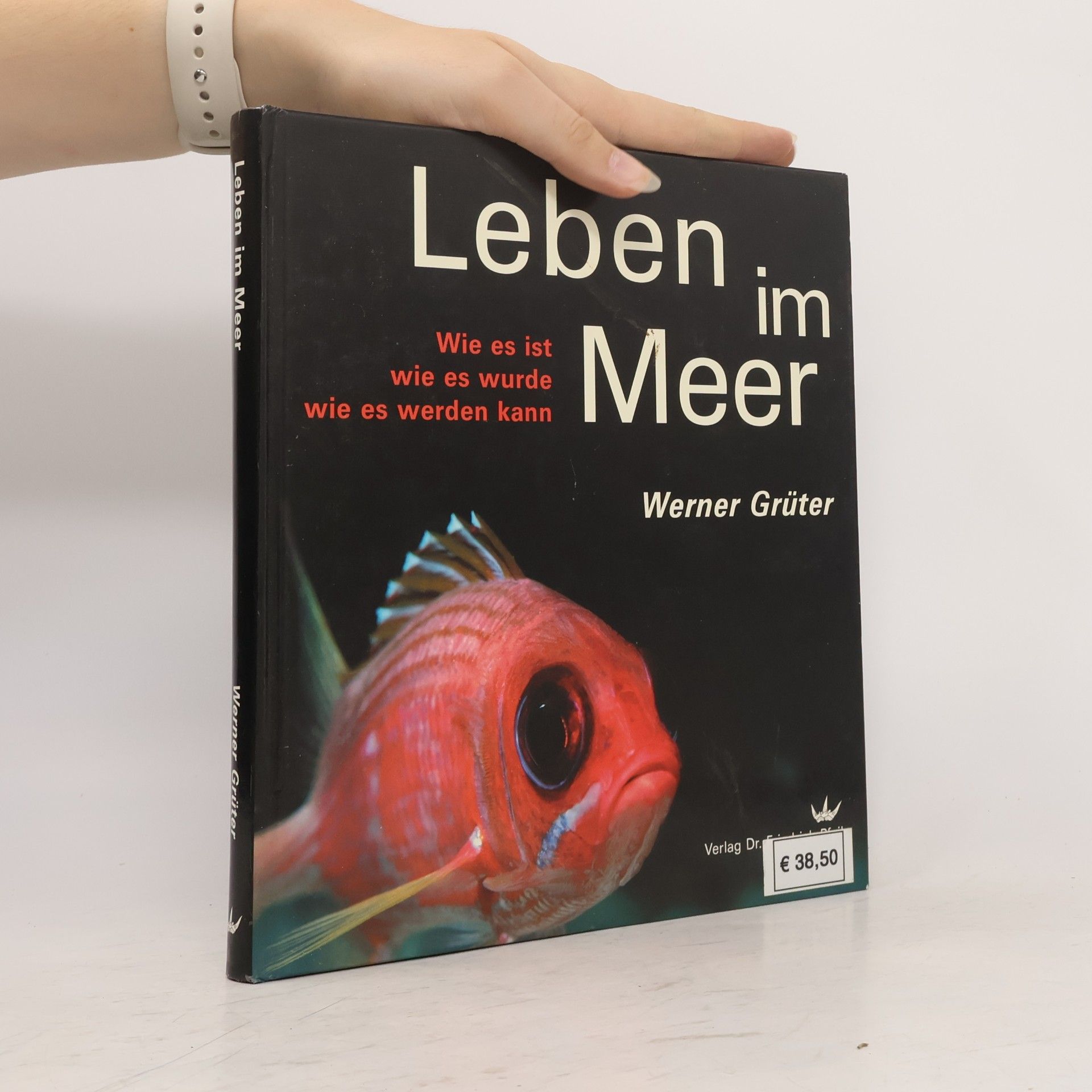 Werner Grüter Leben im Meer