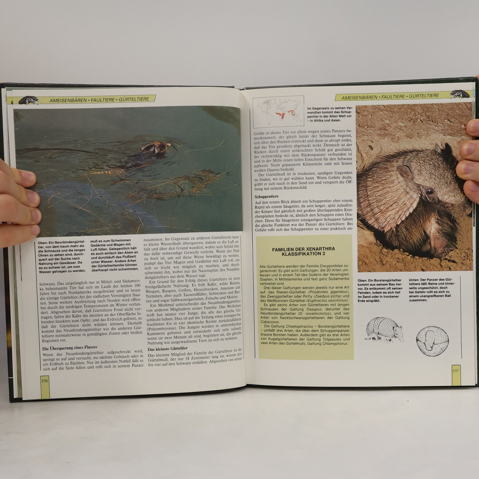 Various authors Lebendiges Tierreich. Die Neue Enzyklopadie in Farbe. Band 4