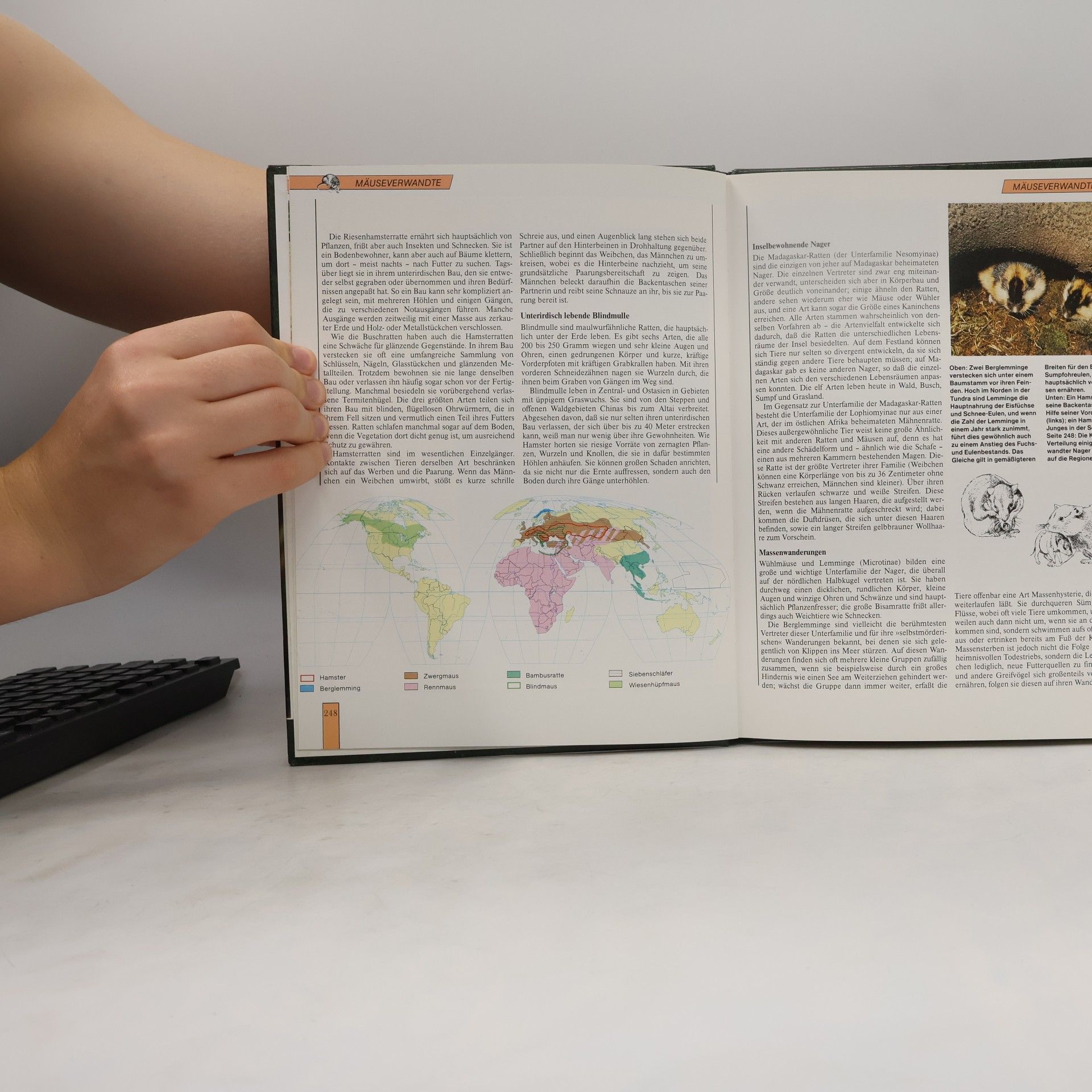 Autorenkollektiv Lebendiges Tierreich