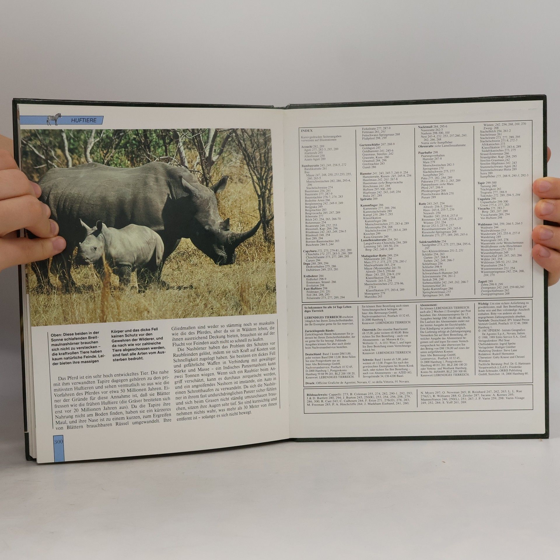 Autorenkollektiv Lebendiges Tierreich