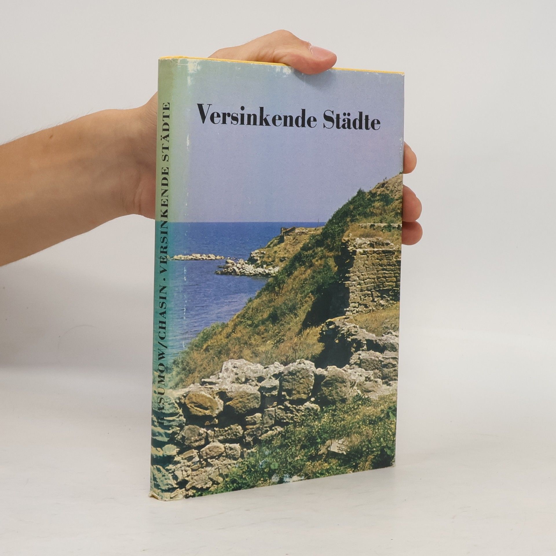 Kolektiv autorů Versinkende Städte