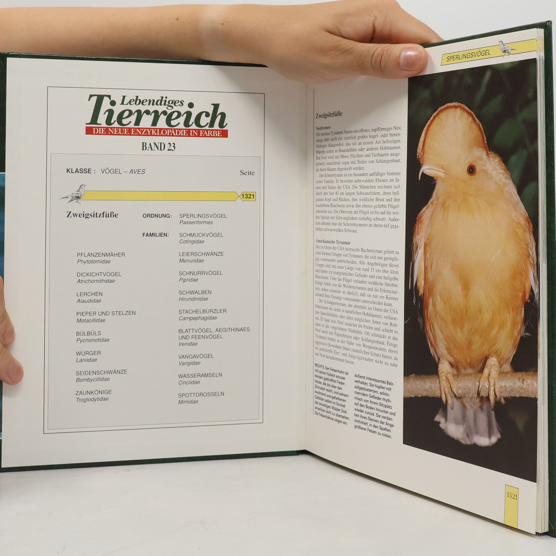 Autores varios Lebendiges Tierreich. Band 23